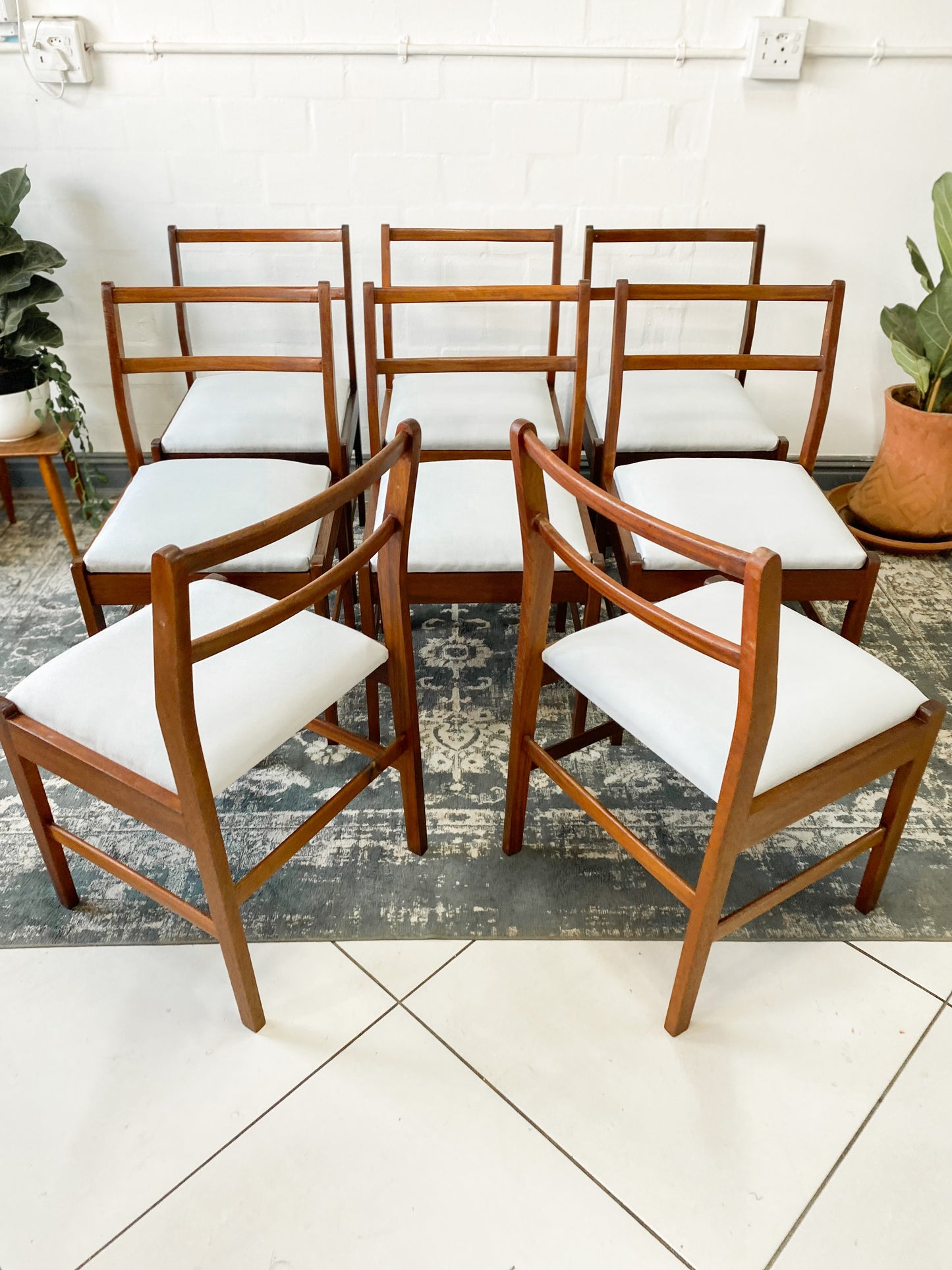 Set of 8 Mid Century Dining Chairs