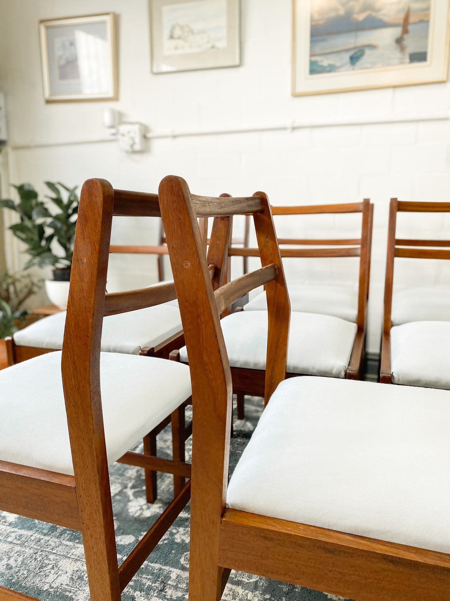 Set of 8 Mid Century Dining Chairs