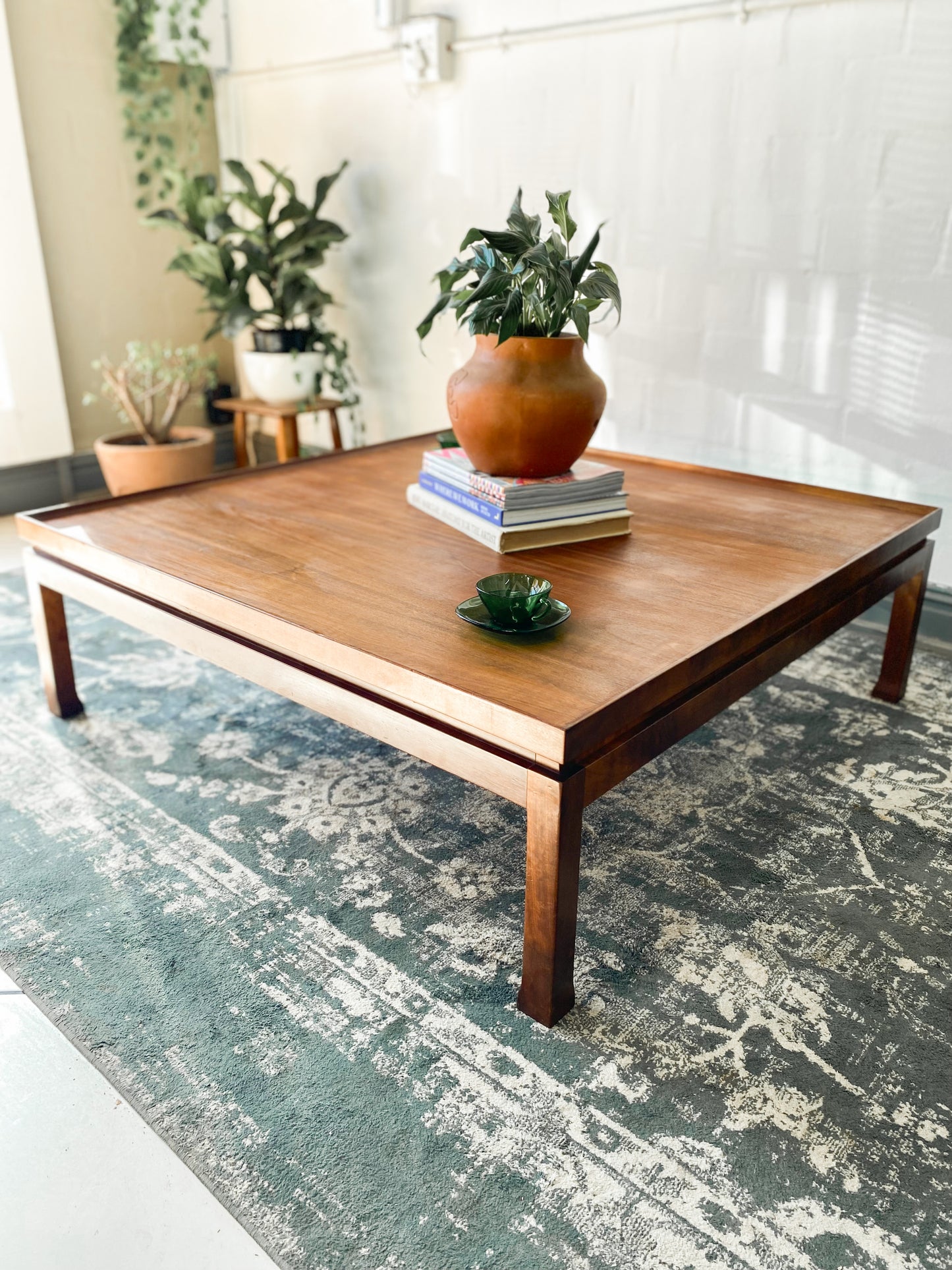 EE Meyer Coffee Table