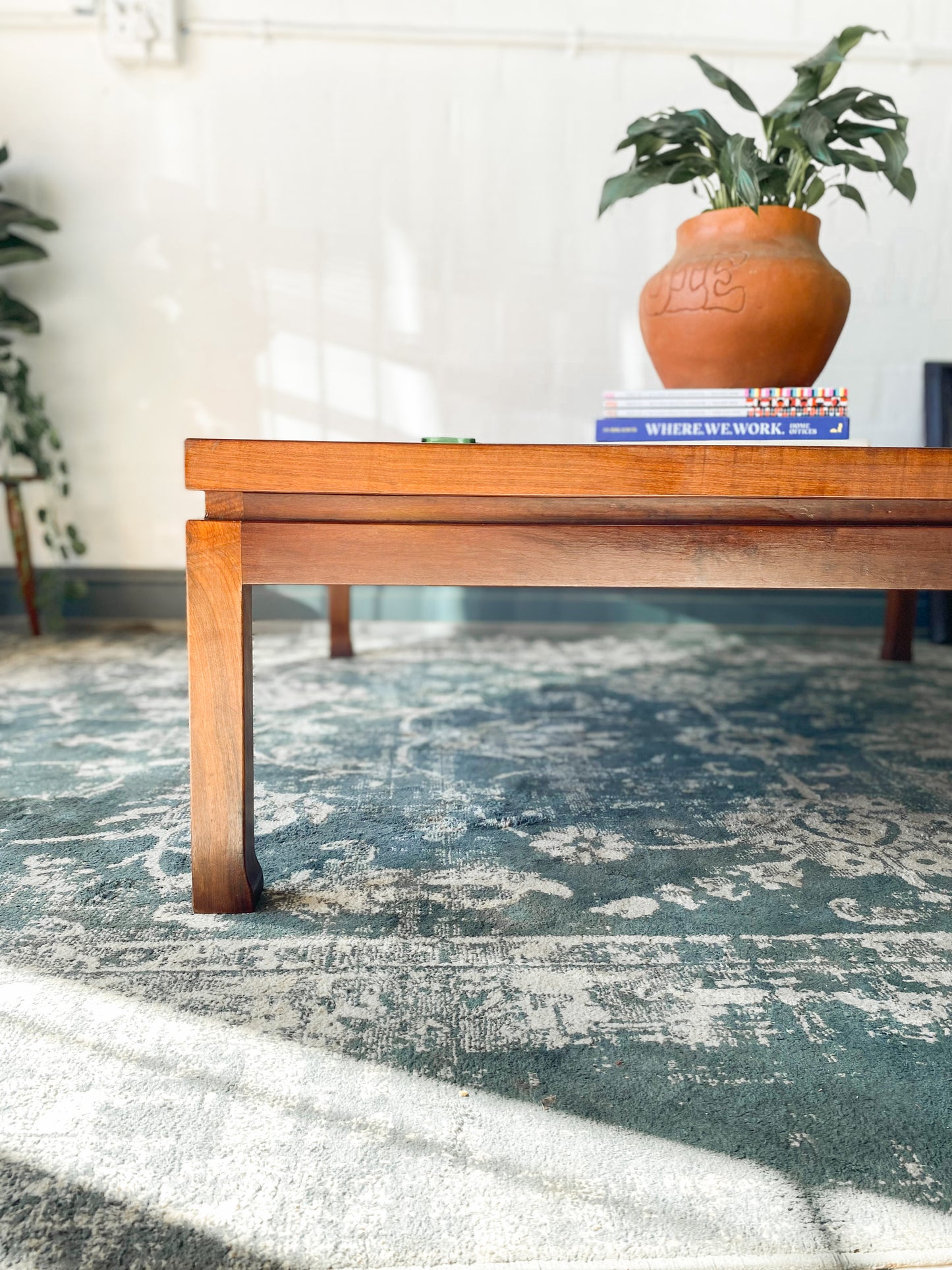 EE Meyer Coffee Table