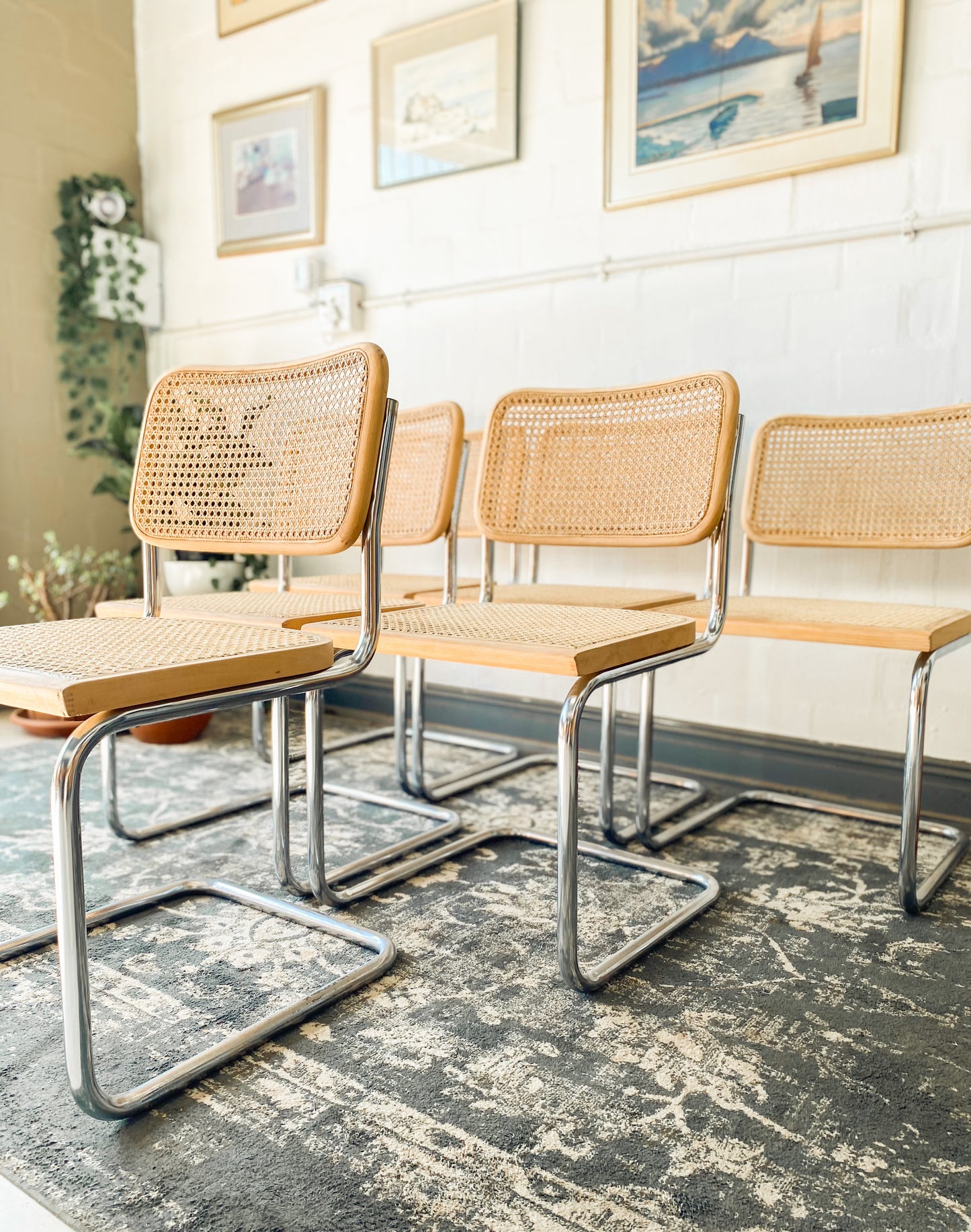 Set of 6 Cesca Style Dining Chairs