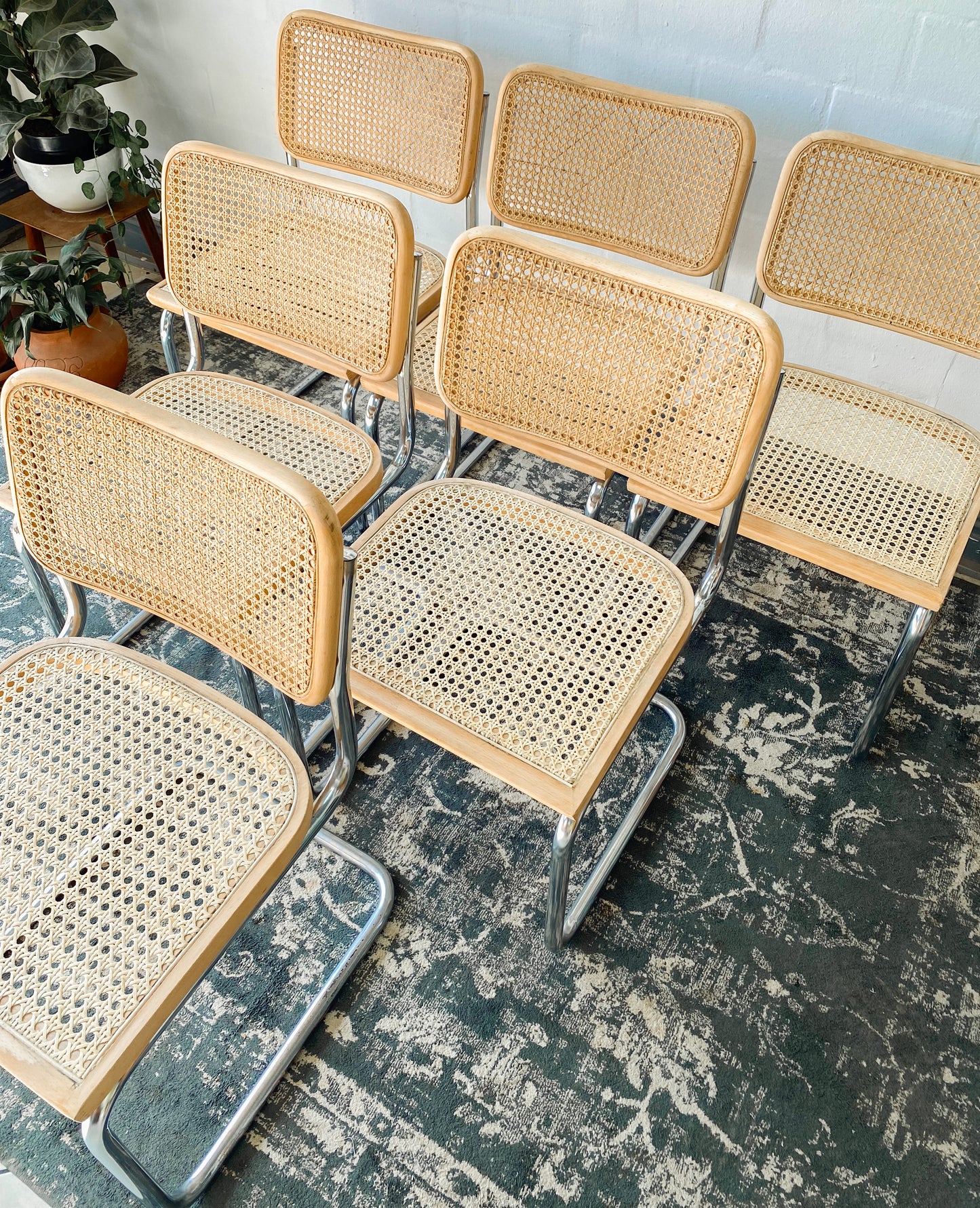 Set of 6 Cesca Style Dining Chairs