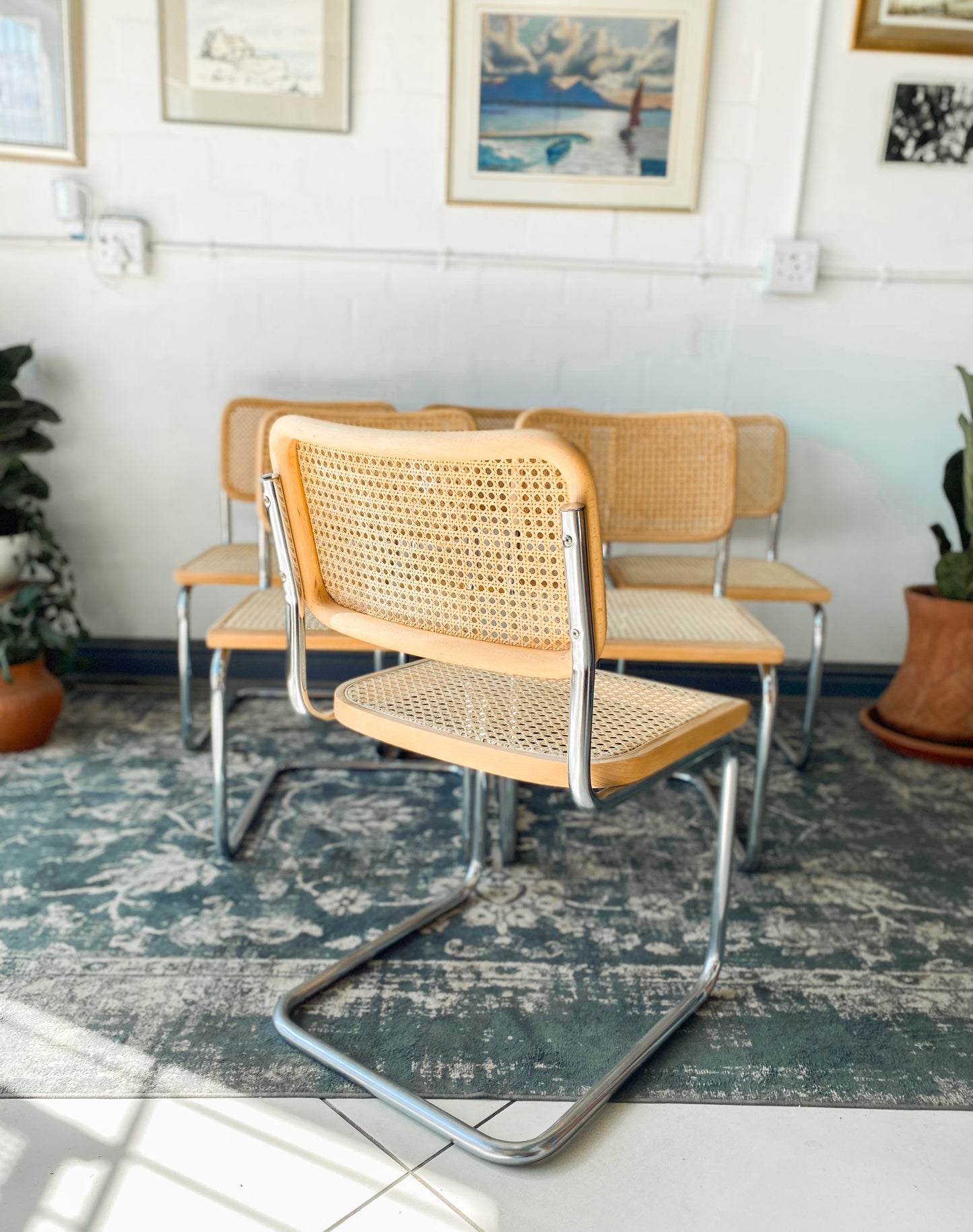 Set of 6 Cesca Style Dining Chairs