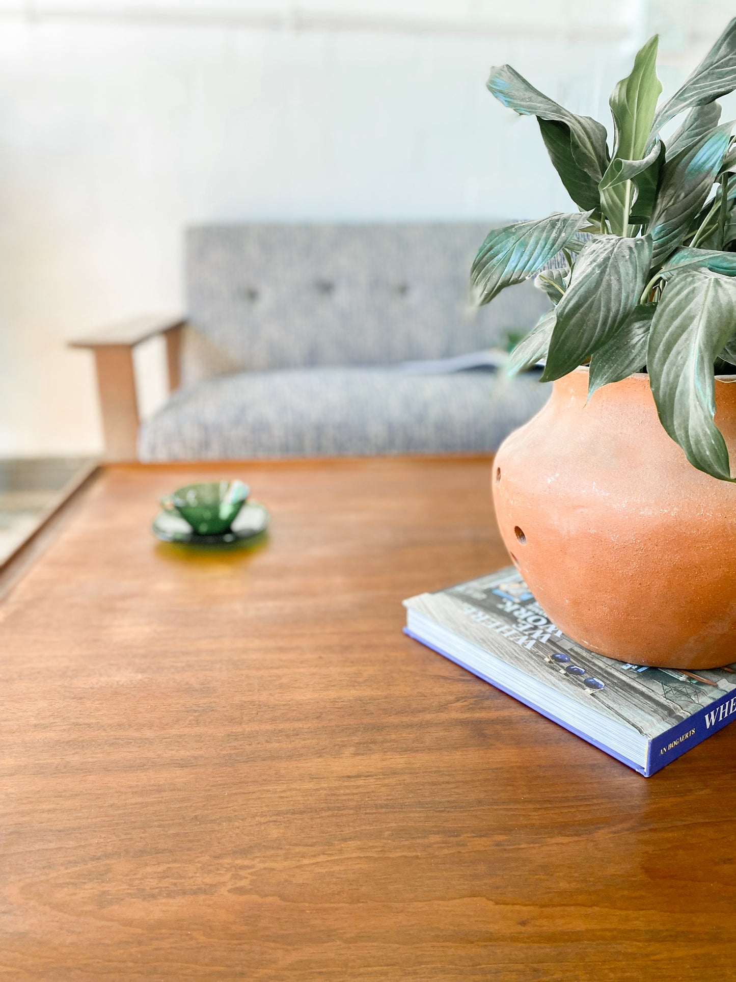 EE Meyer Coffee Table