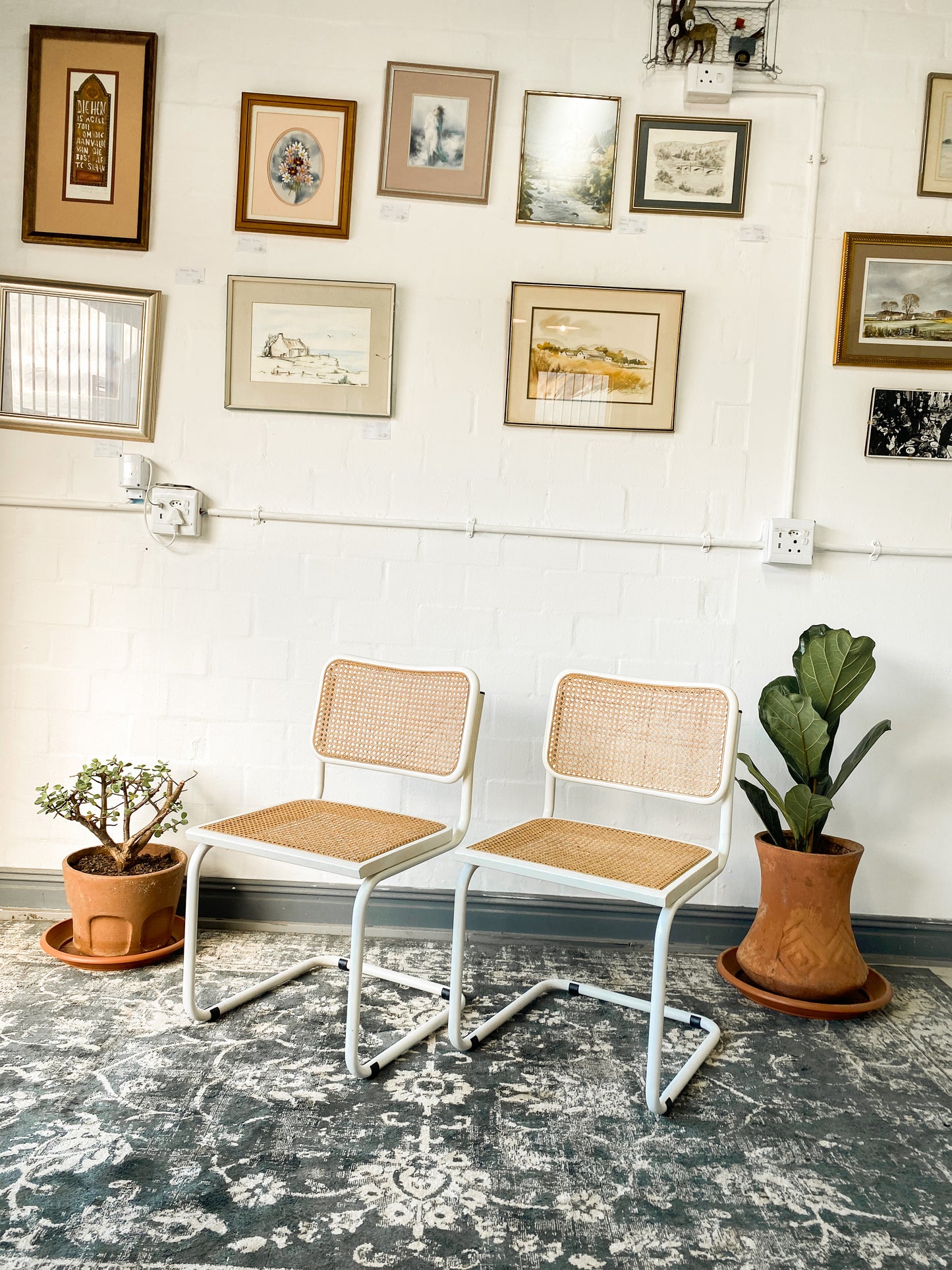 Pair of Cesca Style Dining Chairs