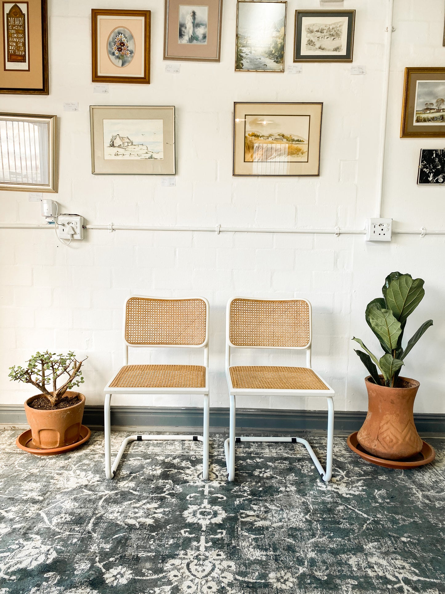 Pair of Cesca Style Dining Chairs