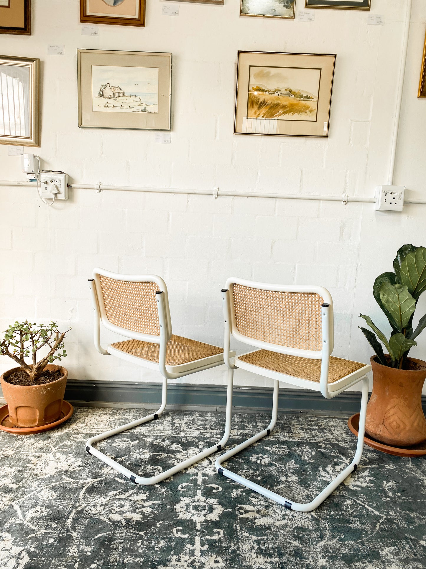 Pair of Cesca Style Dining Chairs