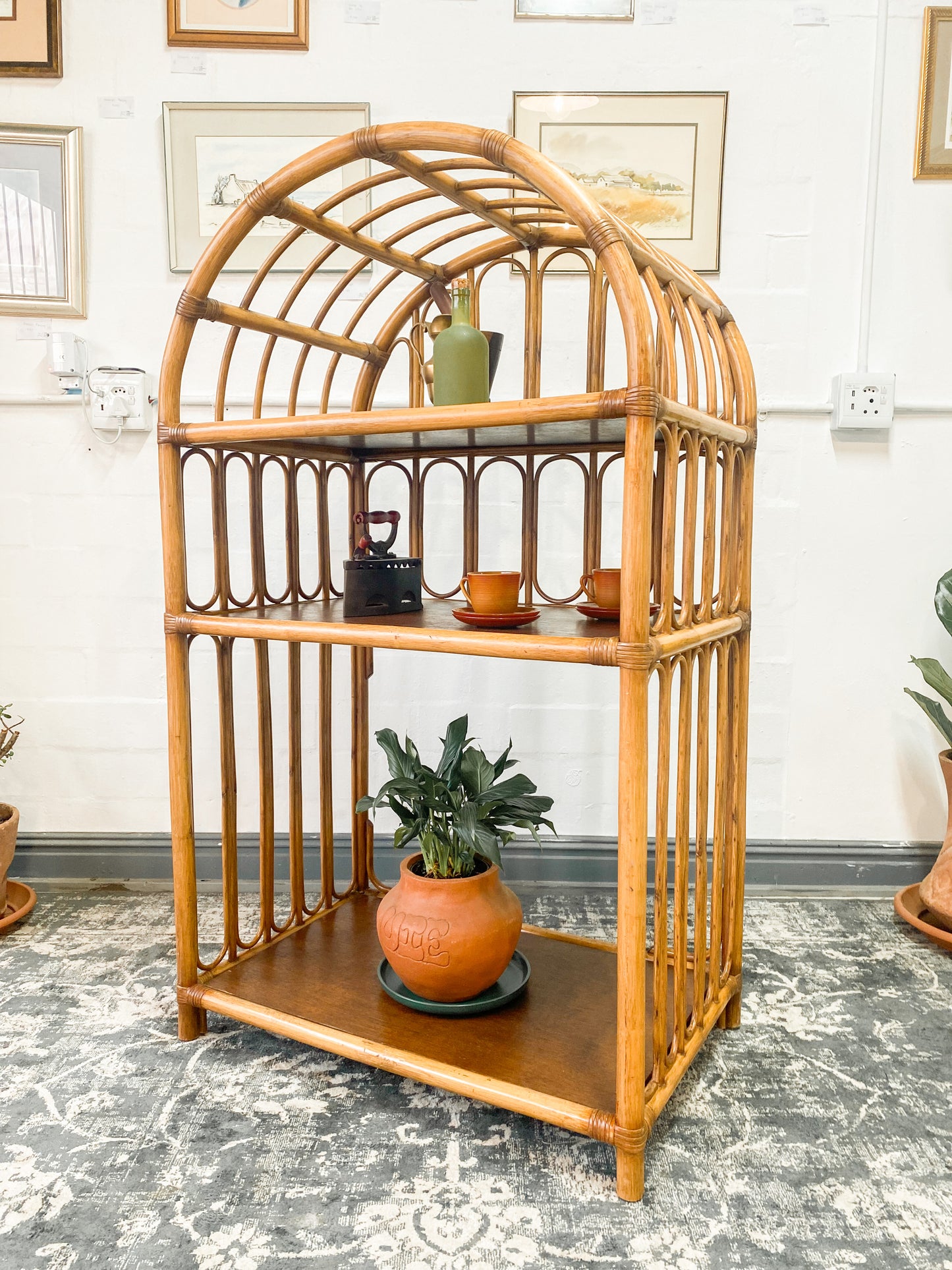 Cane Display Shelf
