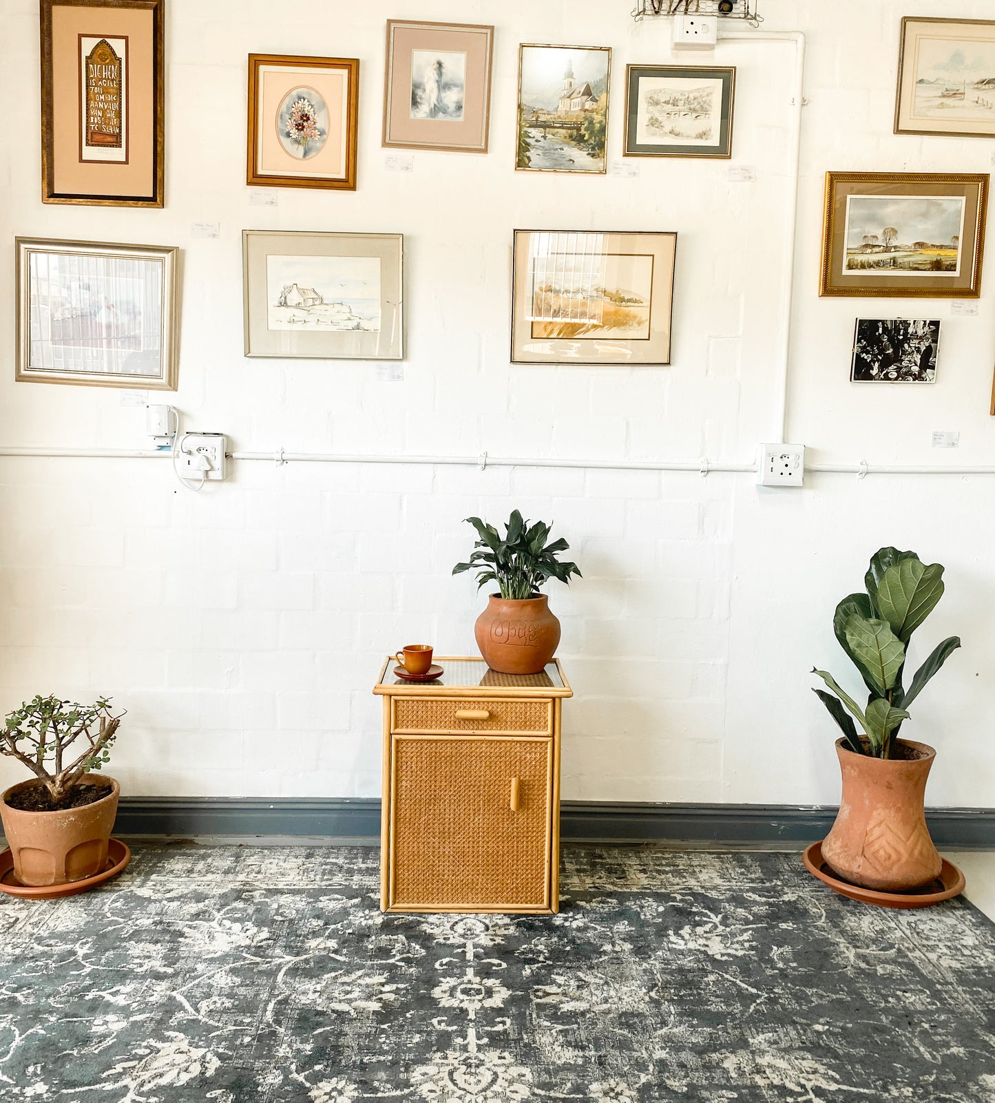 Single Cane Pedestal