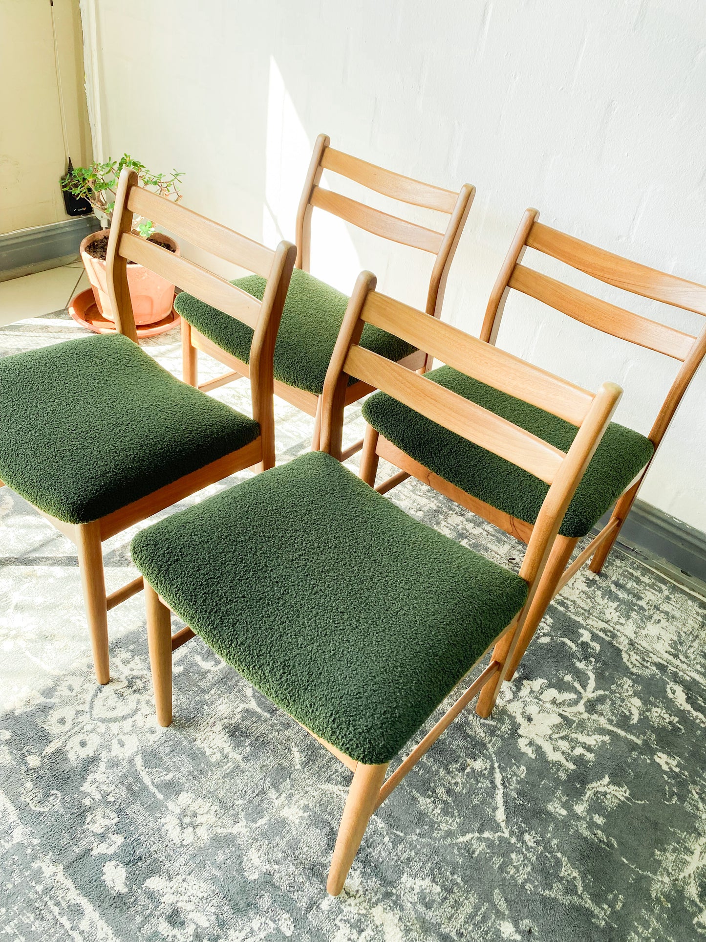 Mid-Century Dining Chairs