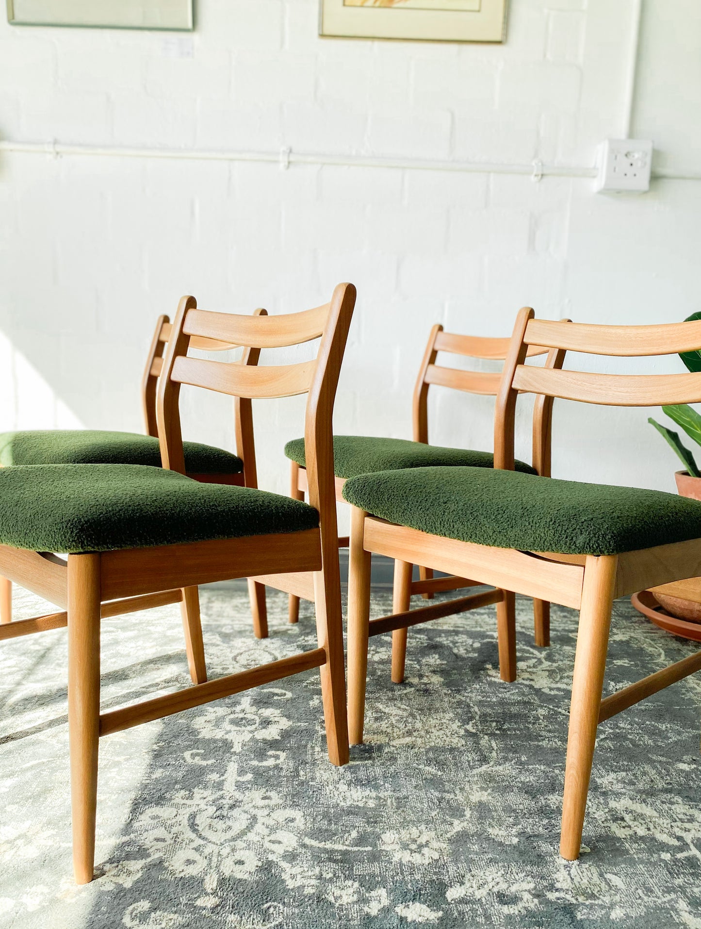 Mid-Century Dining Chairs