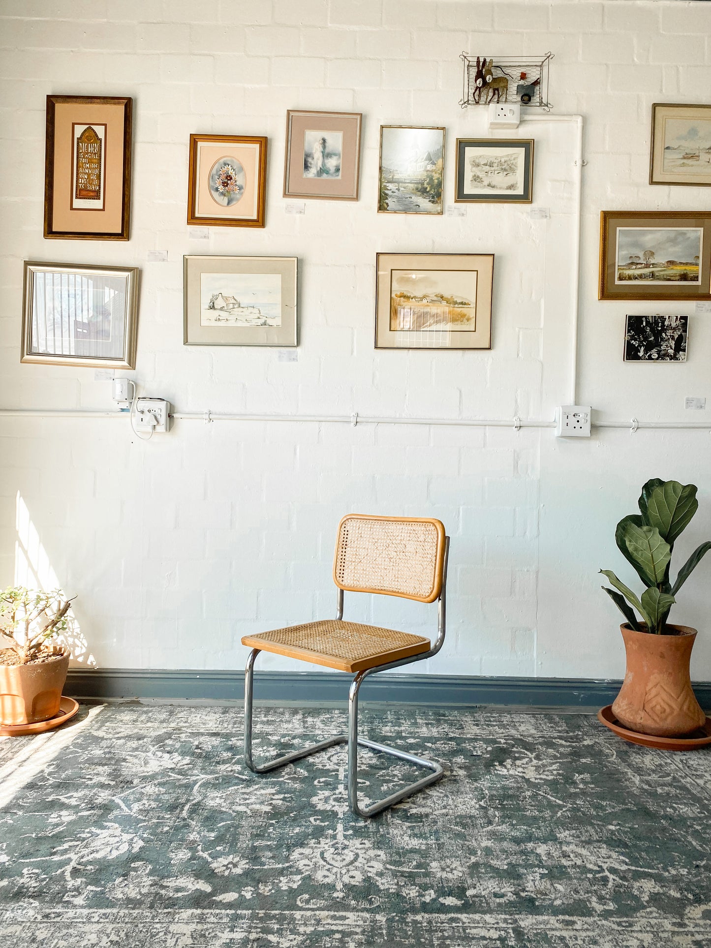 Cesca Dining Chair