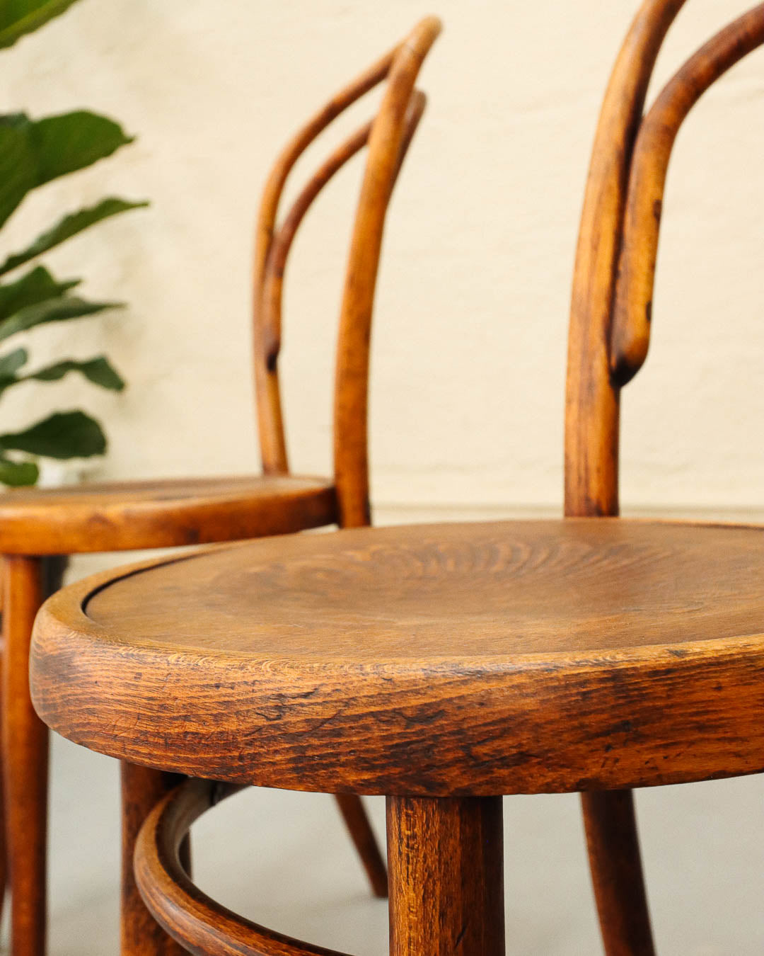 Pair of Vintage Bentwood Dining Chairs