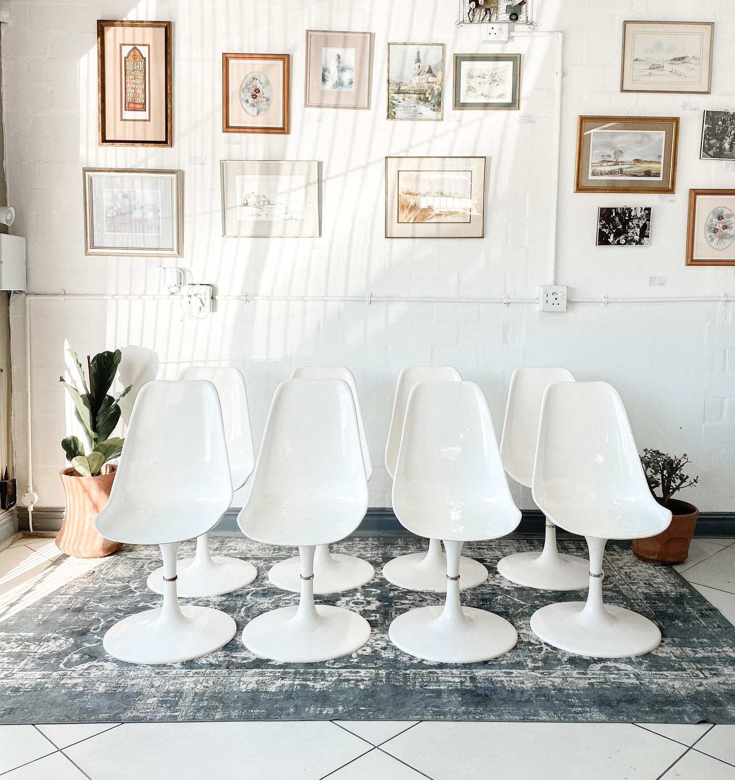 Tulip Dining Chairs - Pair