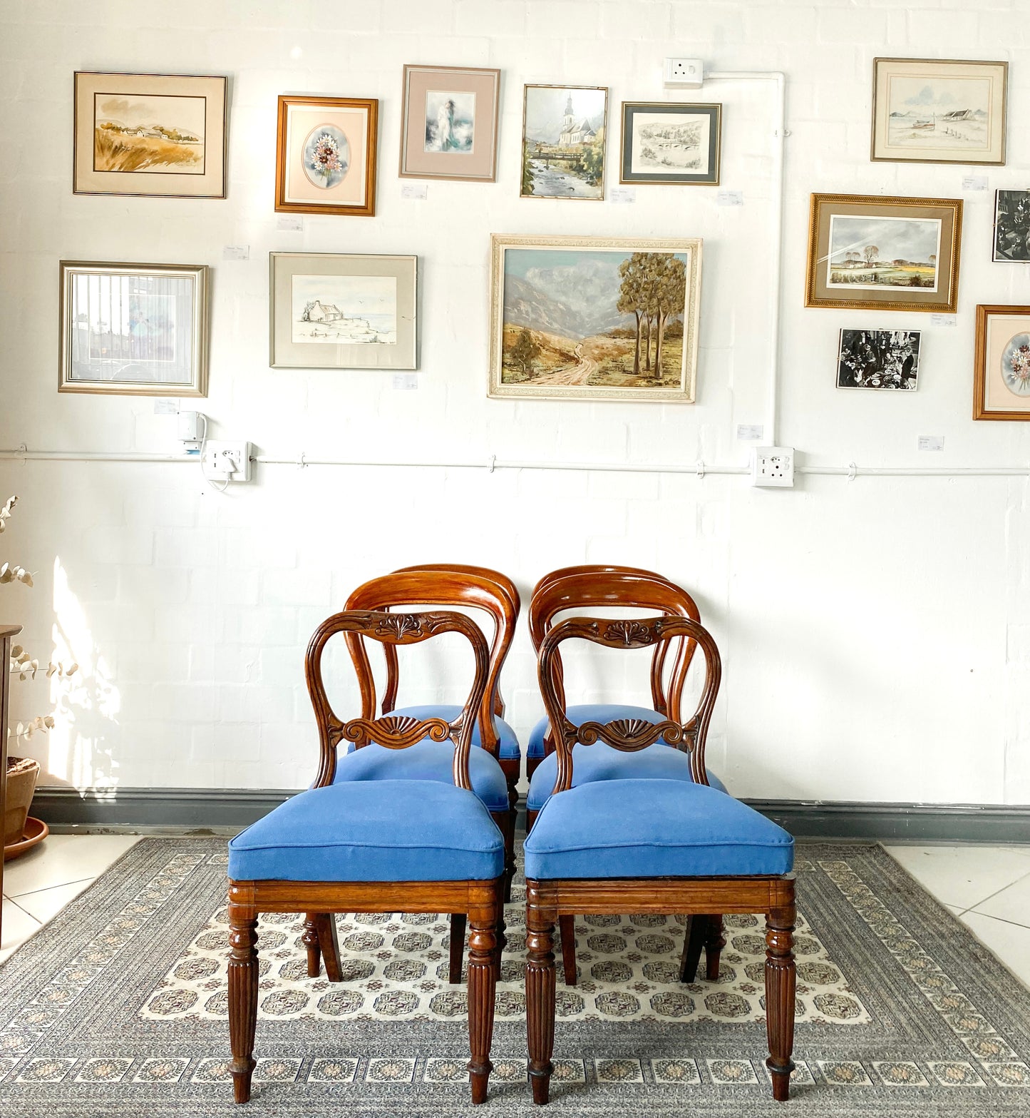 6 English Dining Chairs