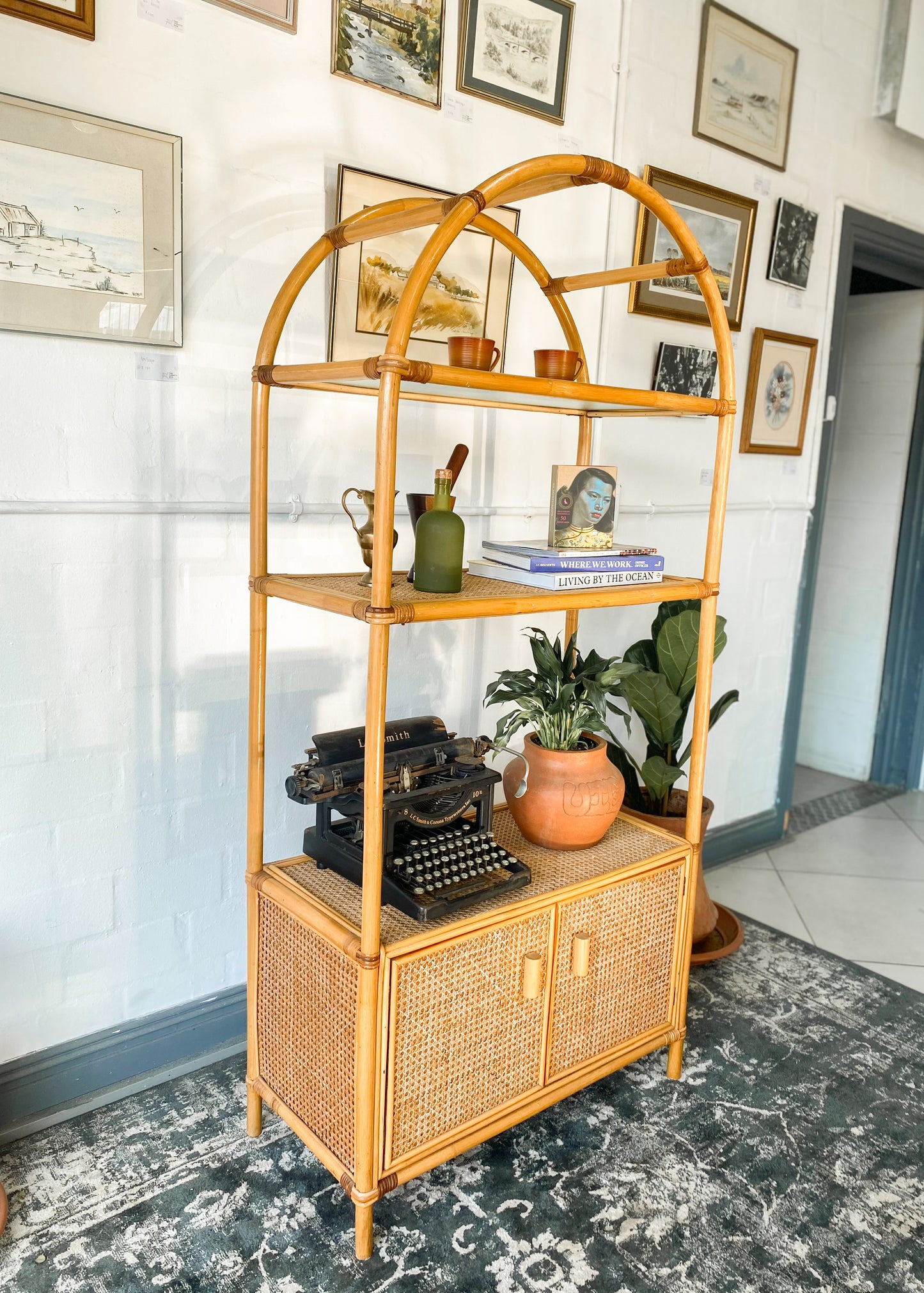 Cane Display Shelf