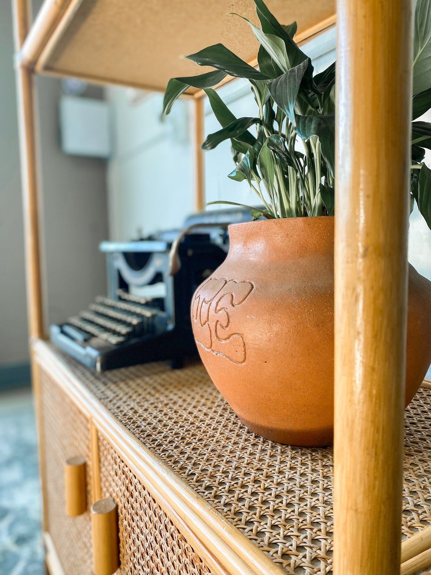Cane Display Shelf