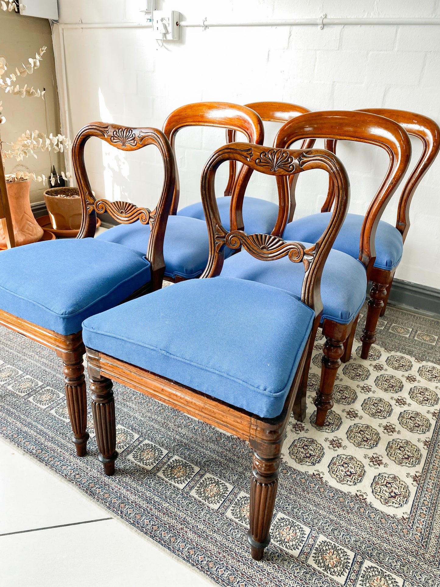 6 English Dining Chairs