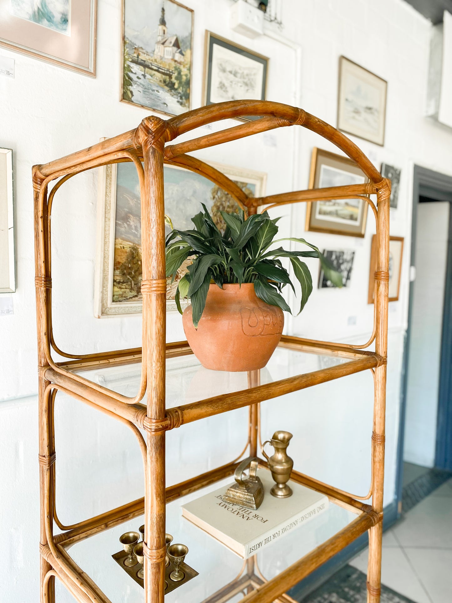 Cane Display Shelf