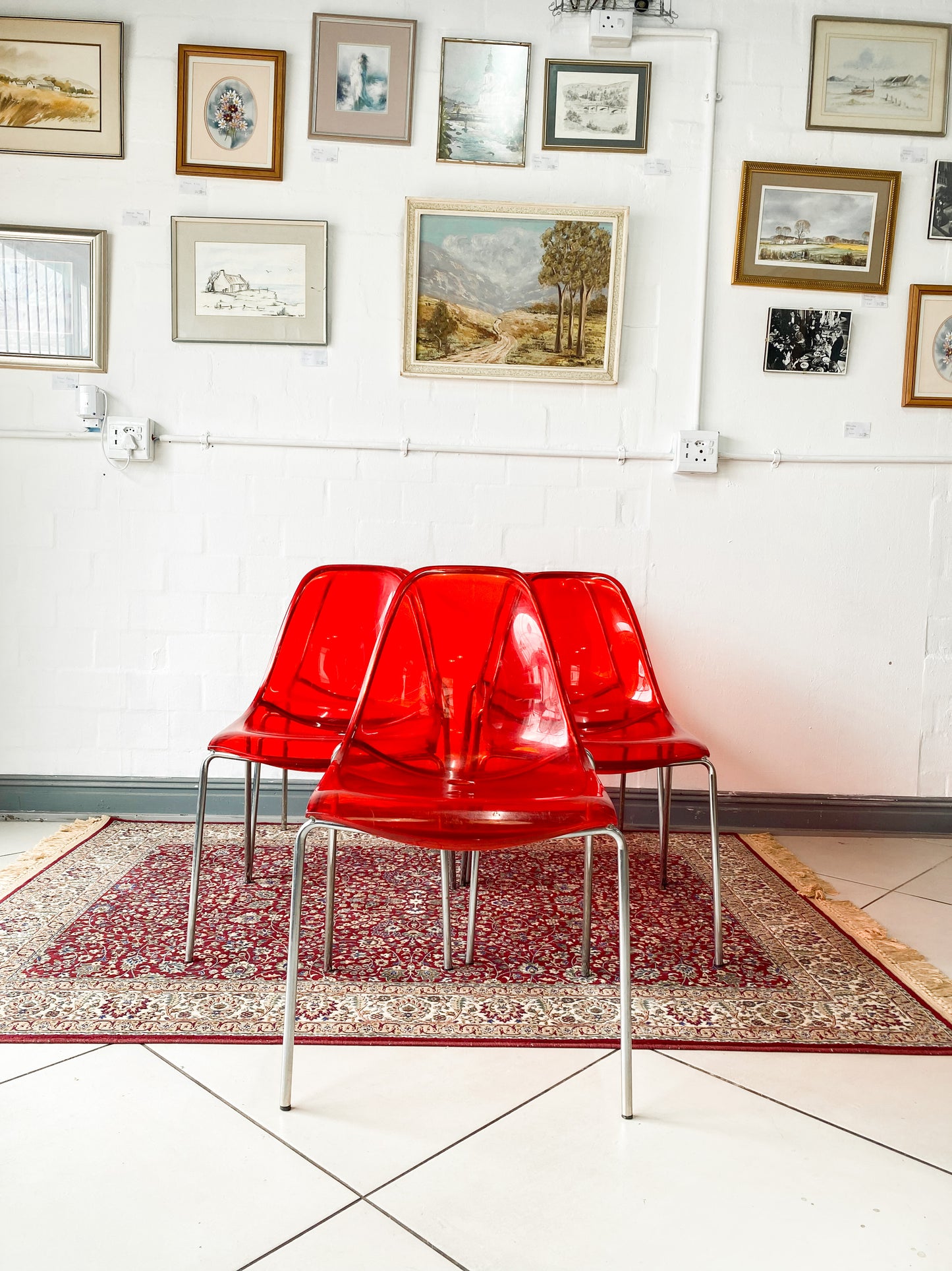 Pedrali Dining Chairs