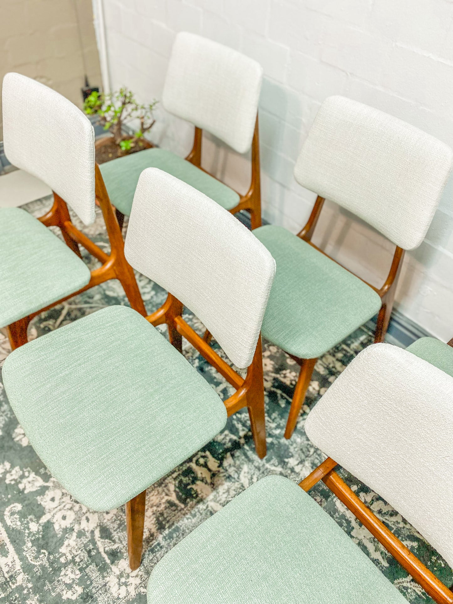 6 Mid Century Dining Chairs
