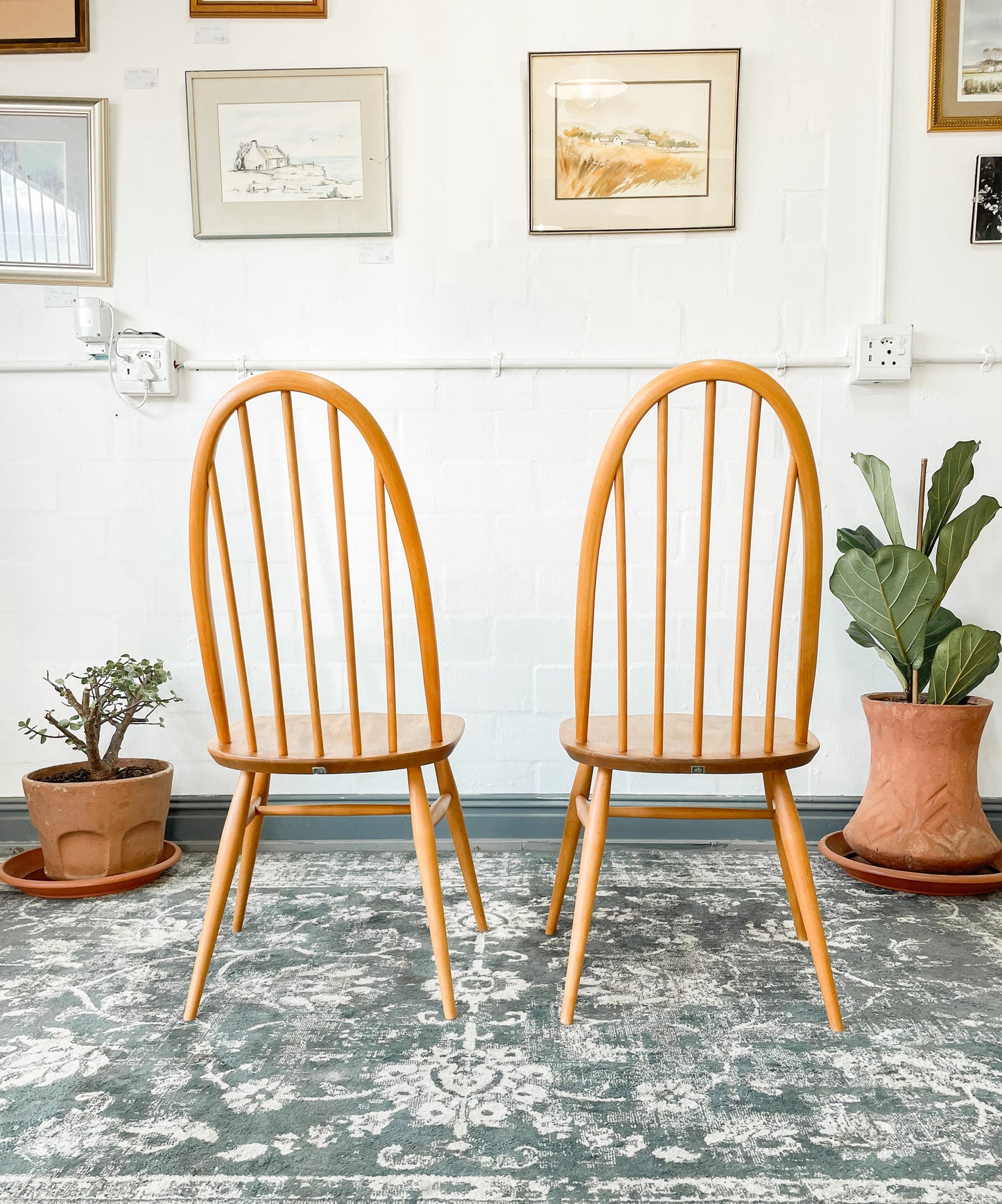 Pair of Ercol Quaker Dining Chairs