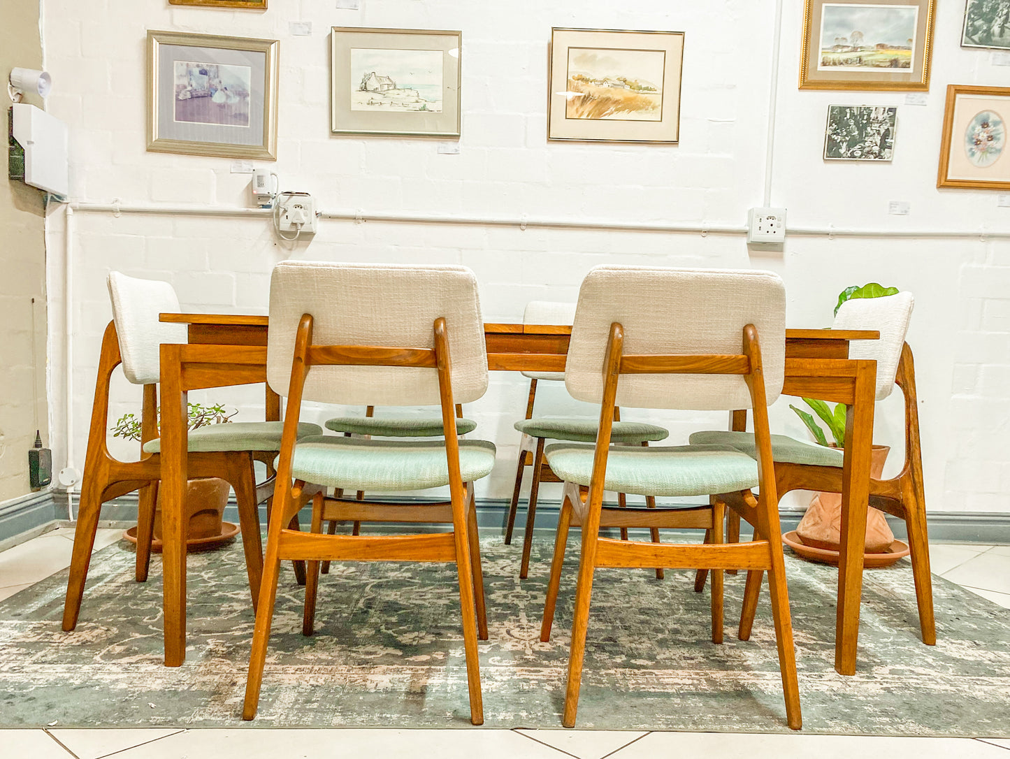 6 Mid Century Dining Chairs