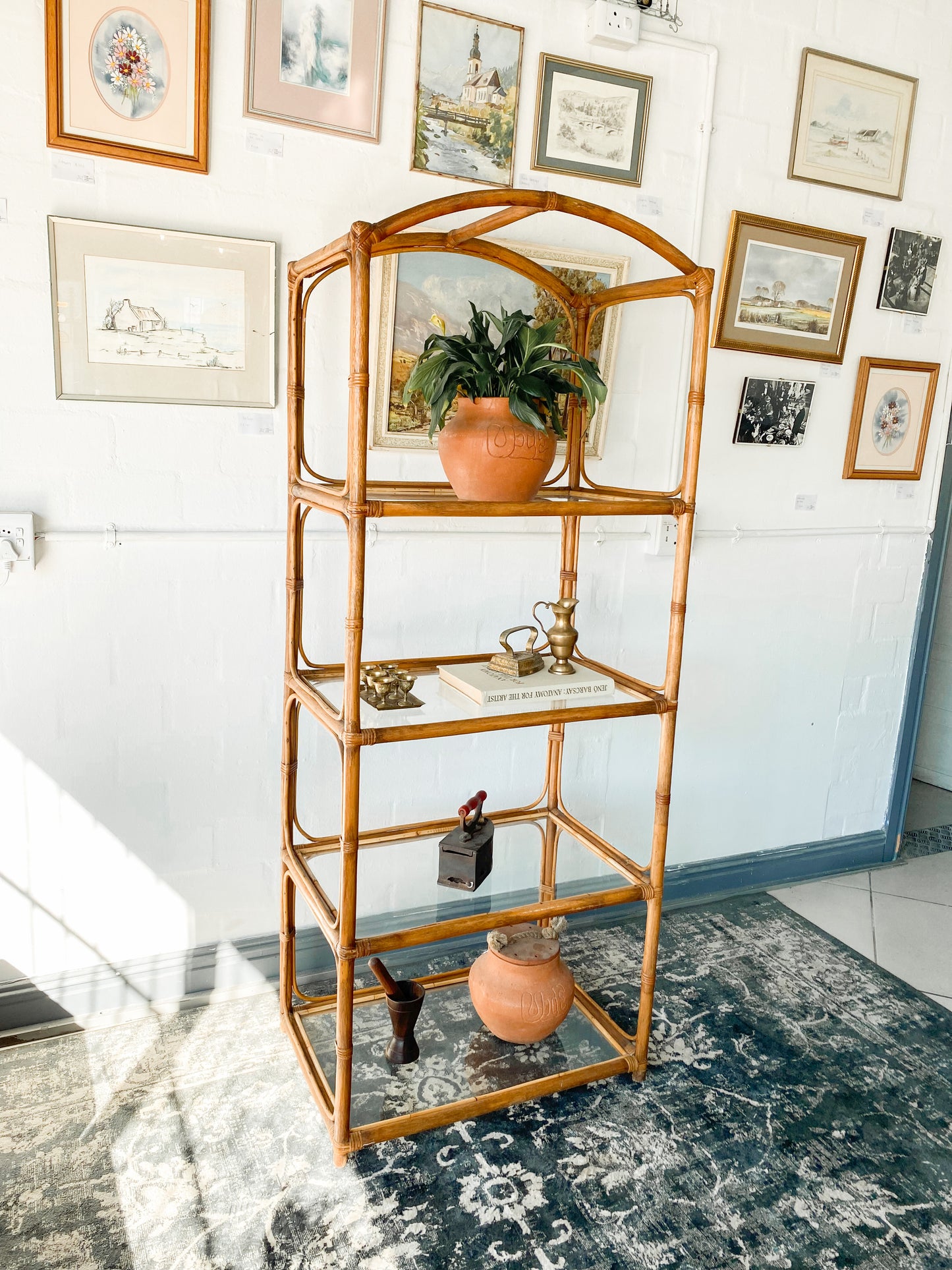 Cane Display Shelf