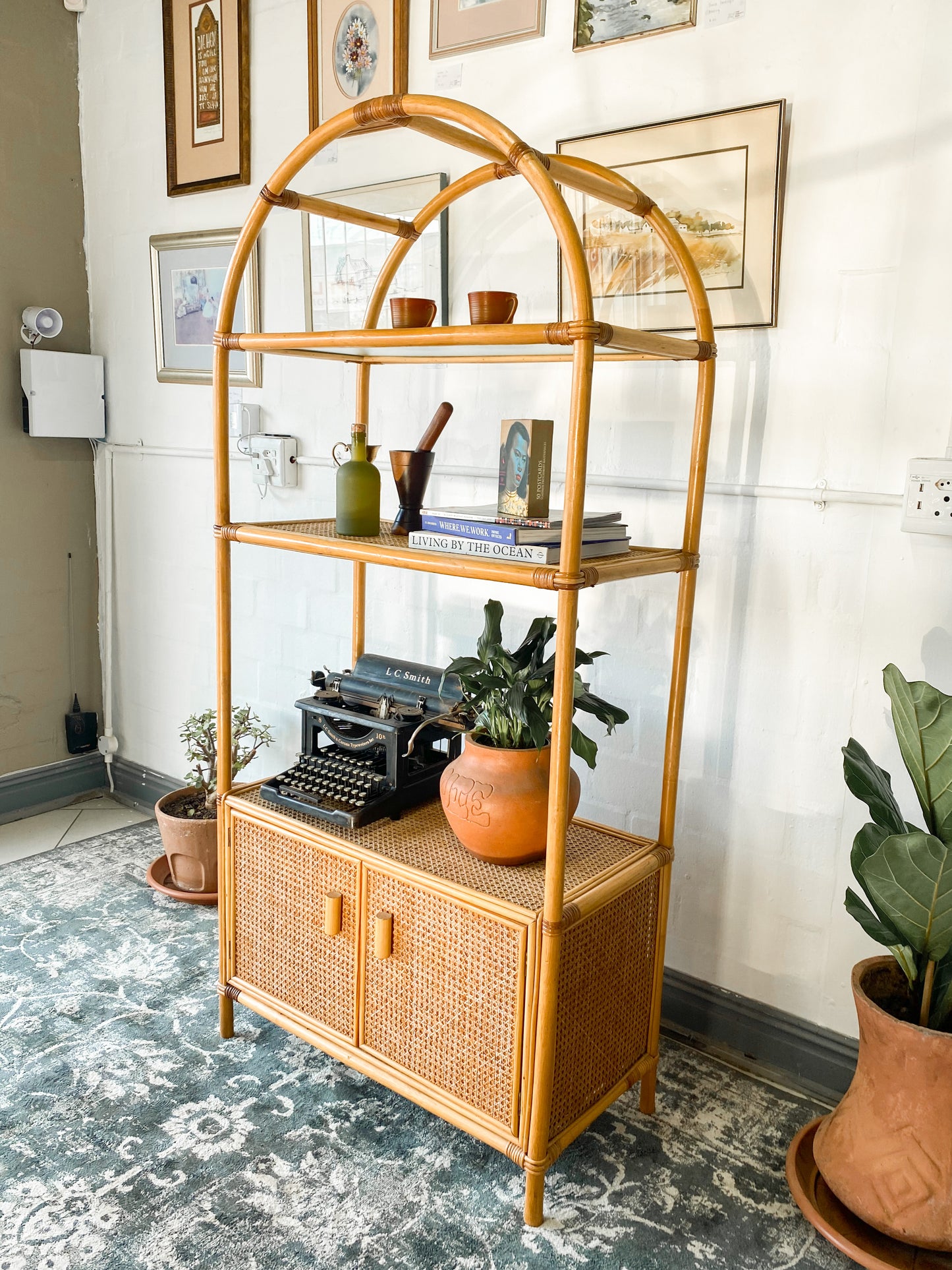 Cane Display Shelf