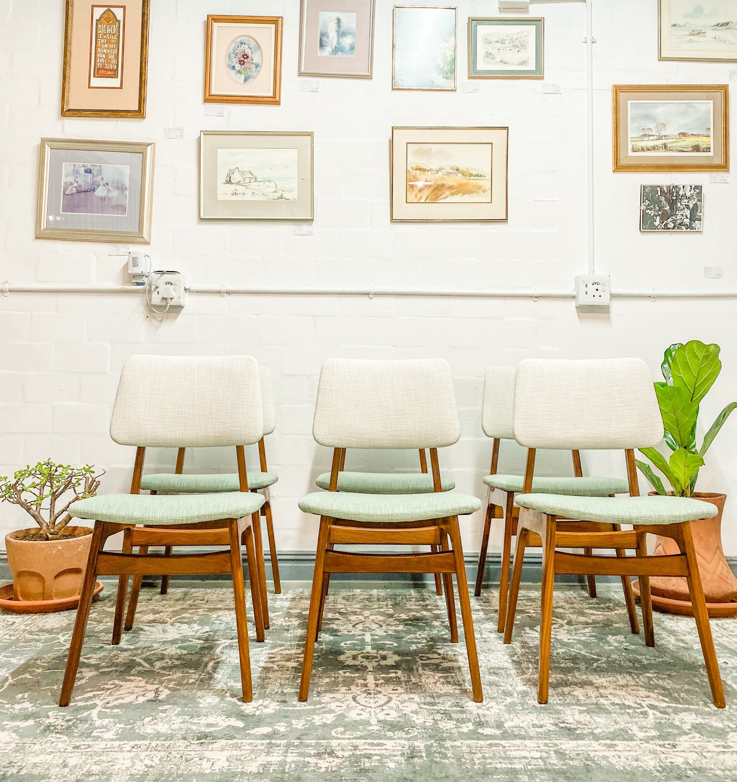 6 Mid Century Dining Chairs