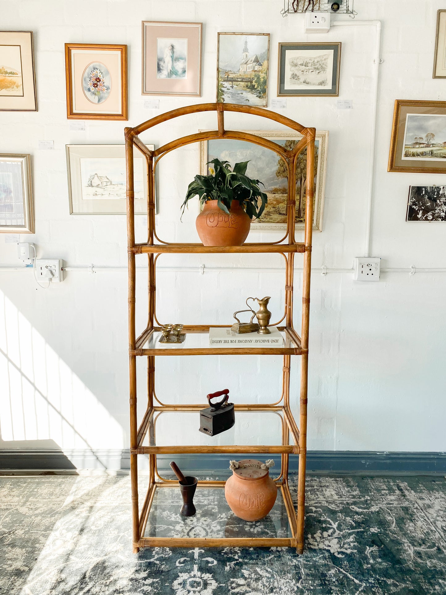 Cane Display Shelf