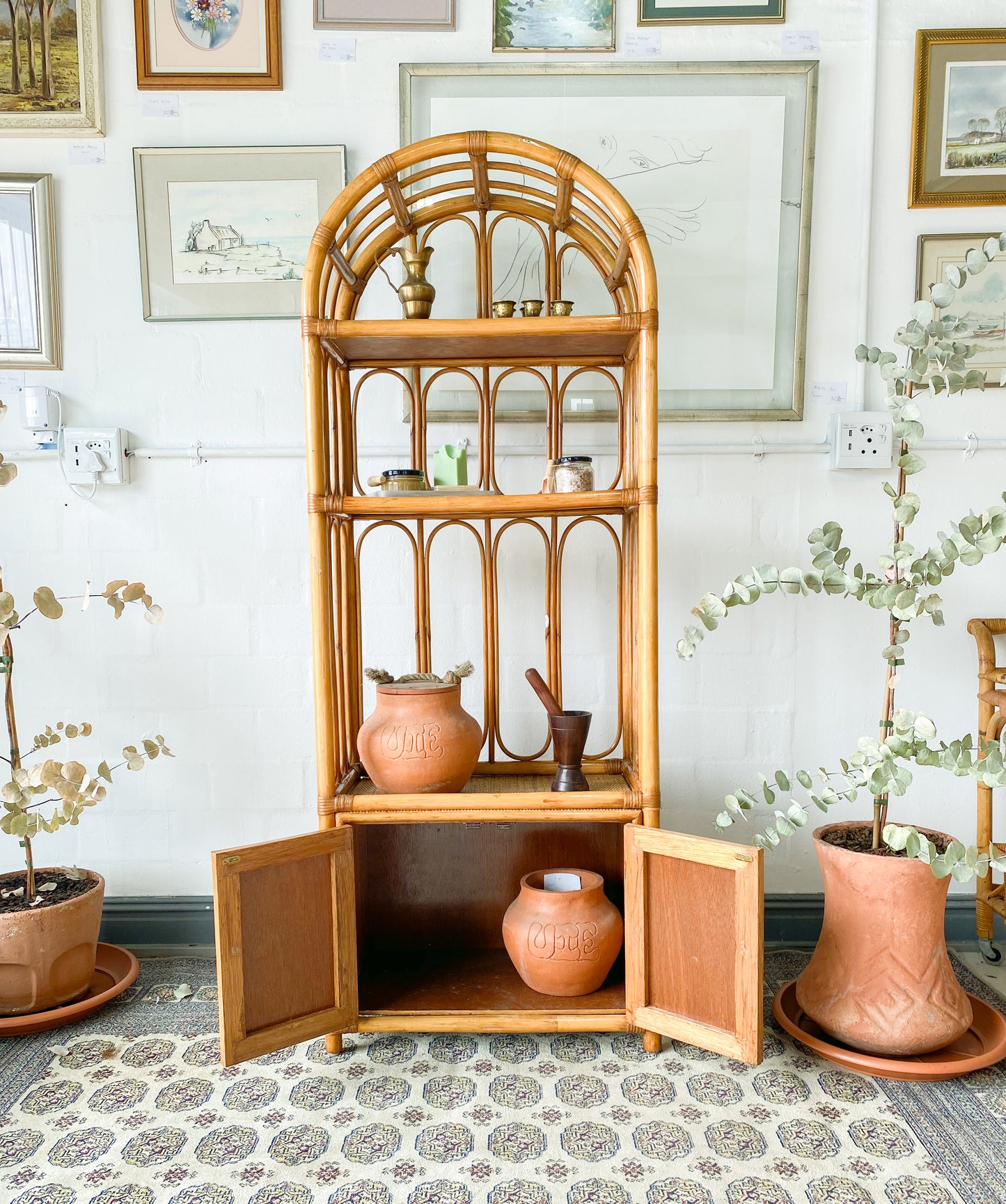 Cane Display Unit