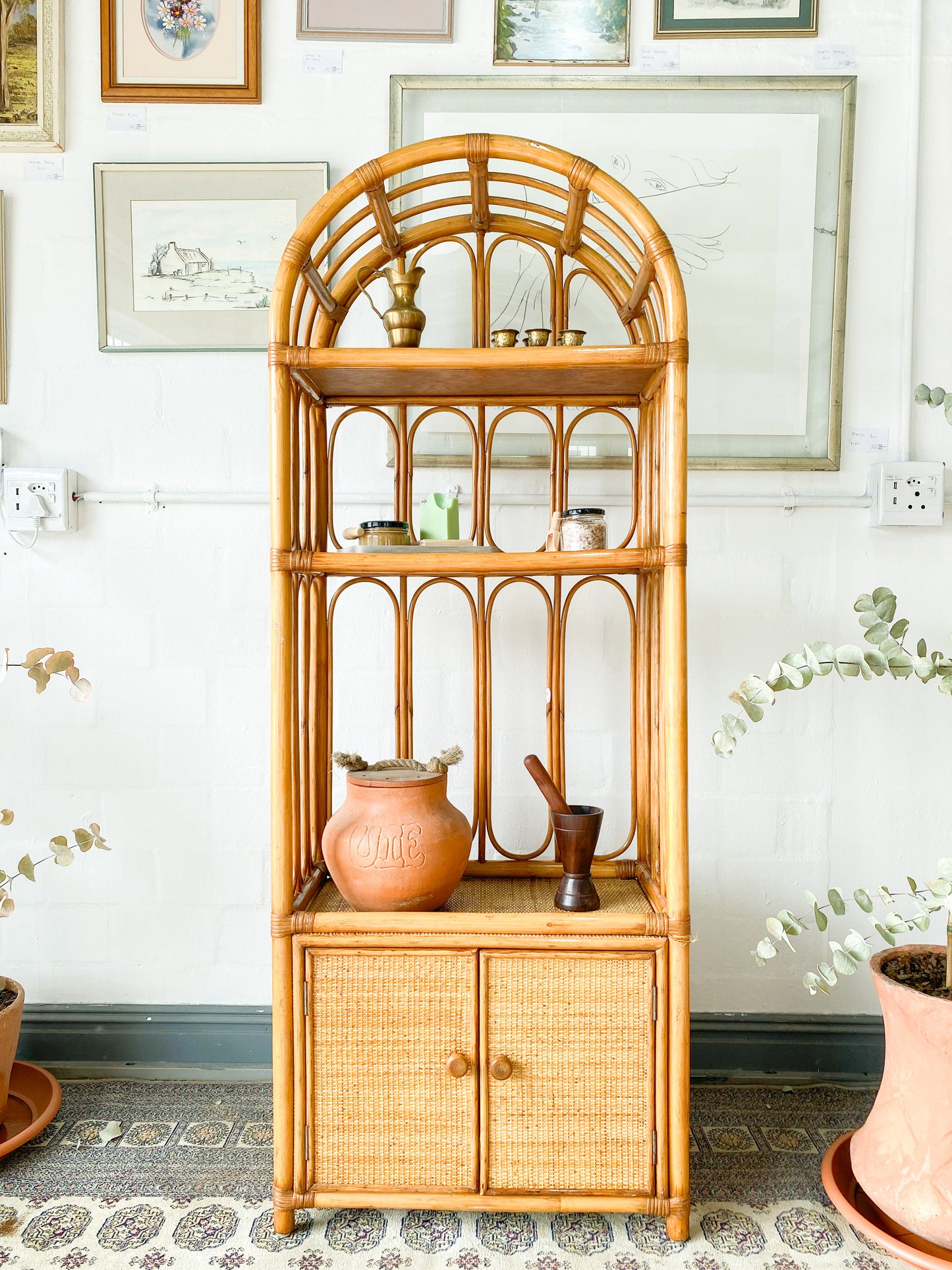 Cane Display Unit