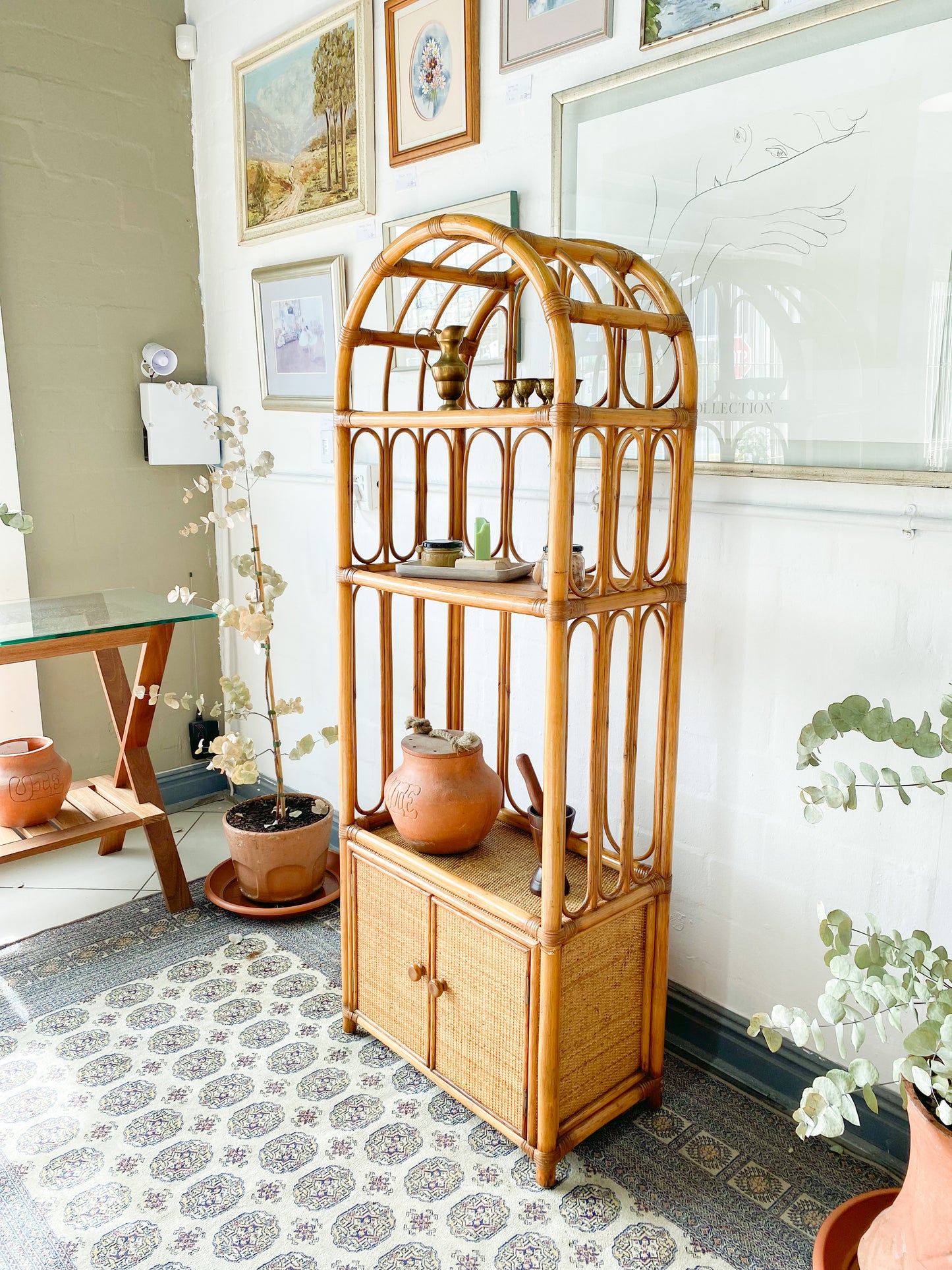 Cane Display Unit