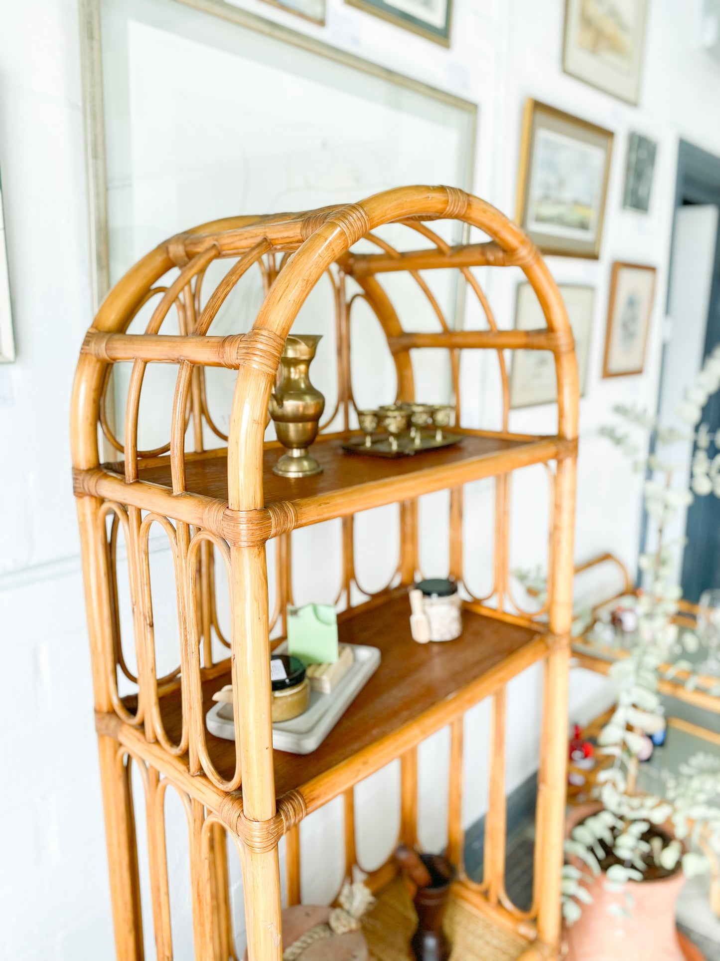 Cane Display Unit