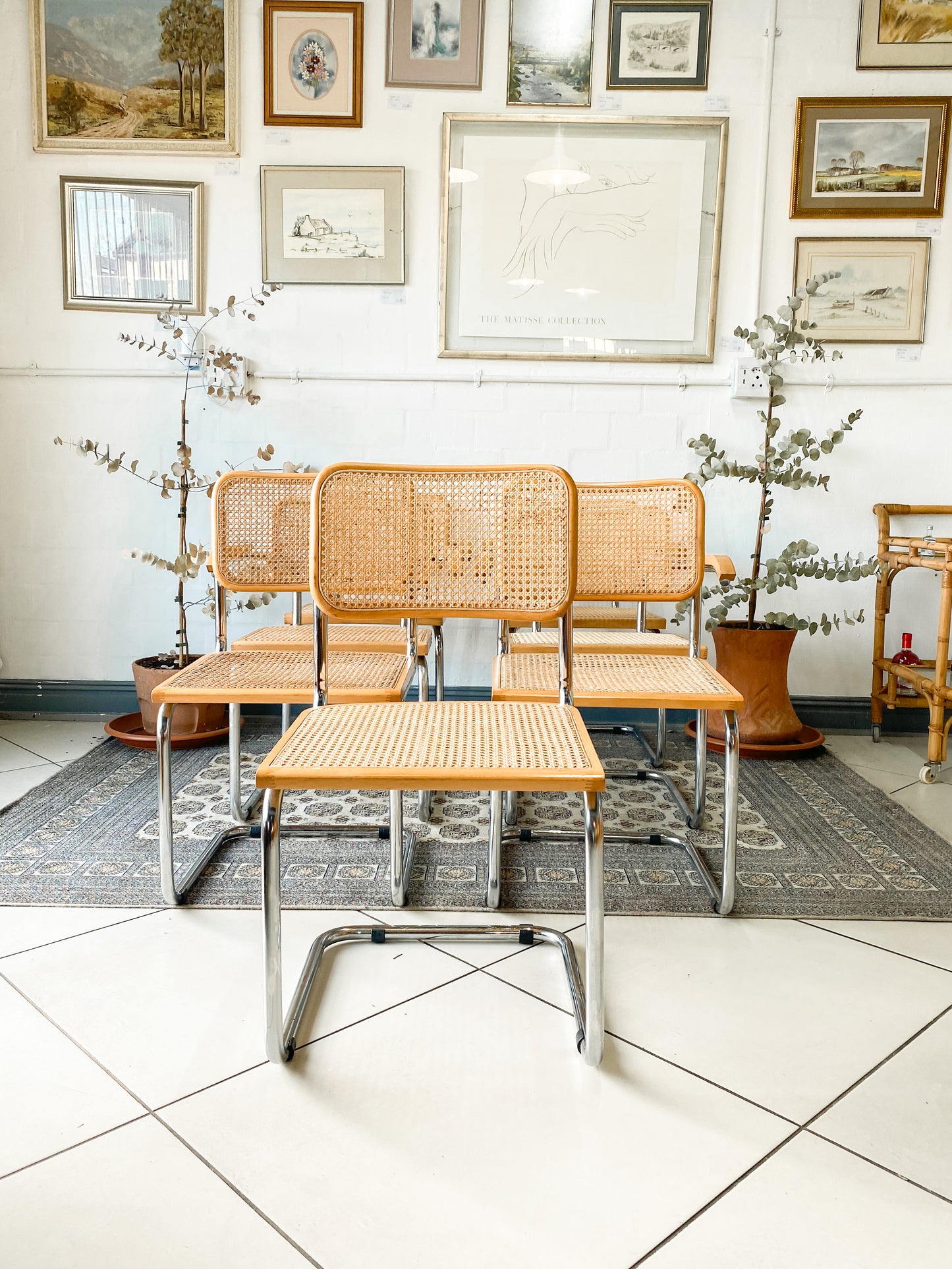 Cesca Dining Chairs