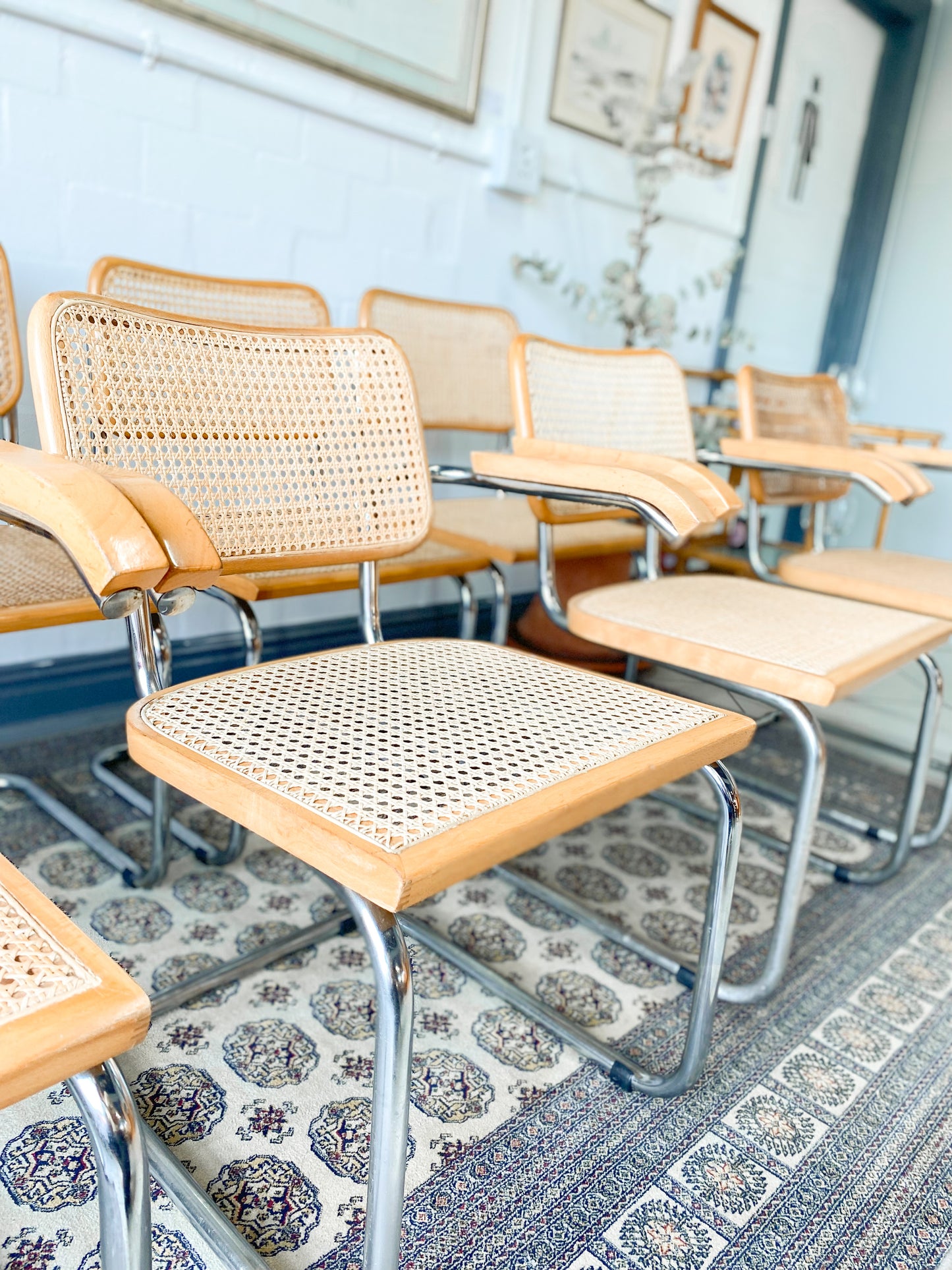 Cesca Dining Chairs