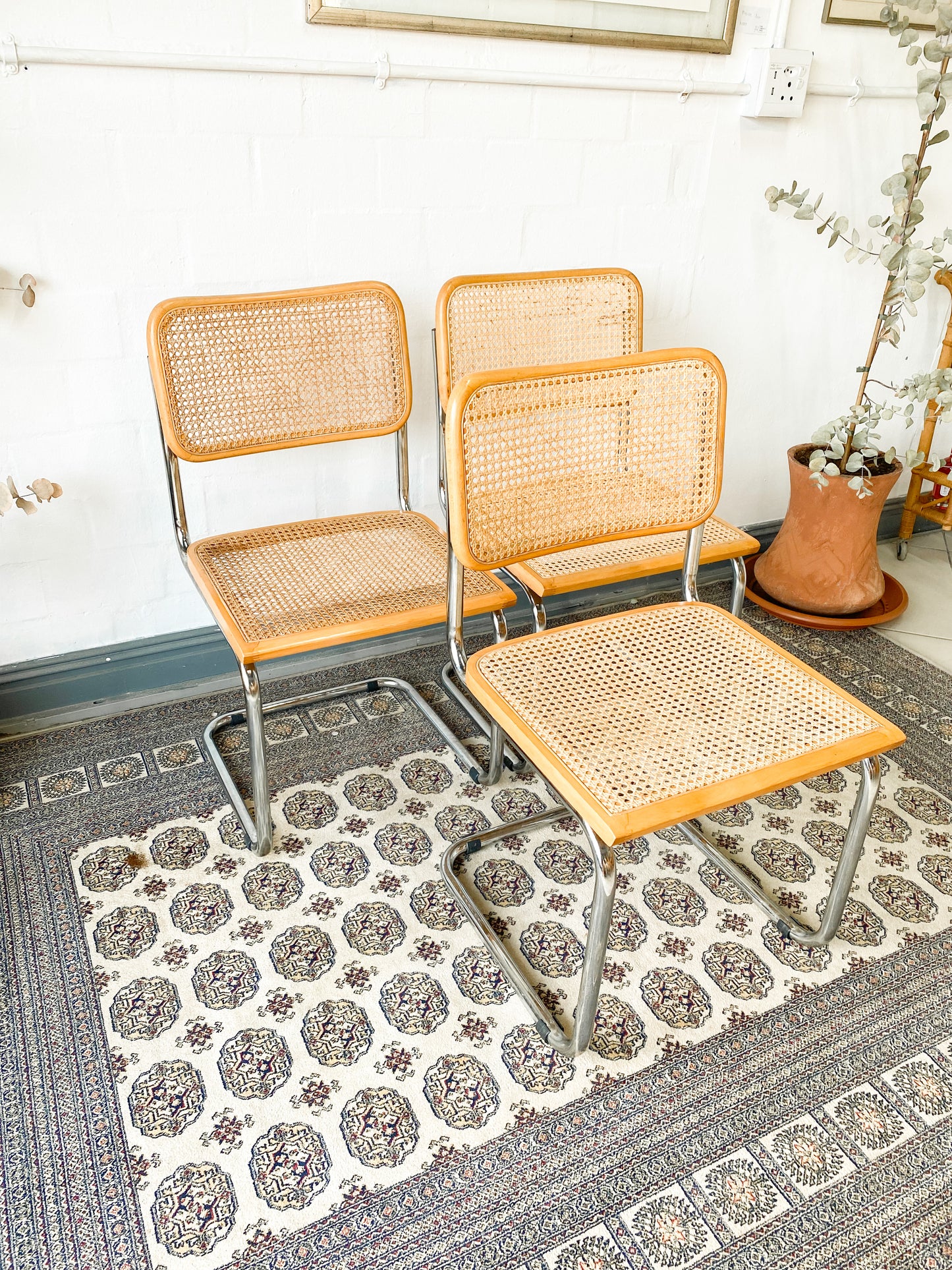 Cesca Dining Chairs