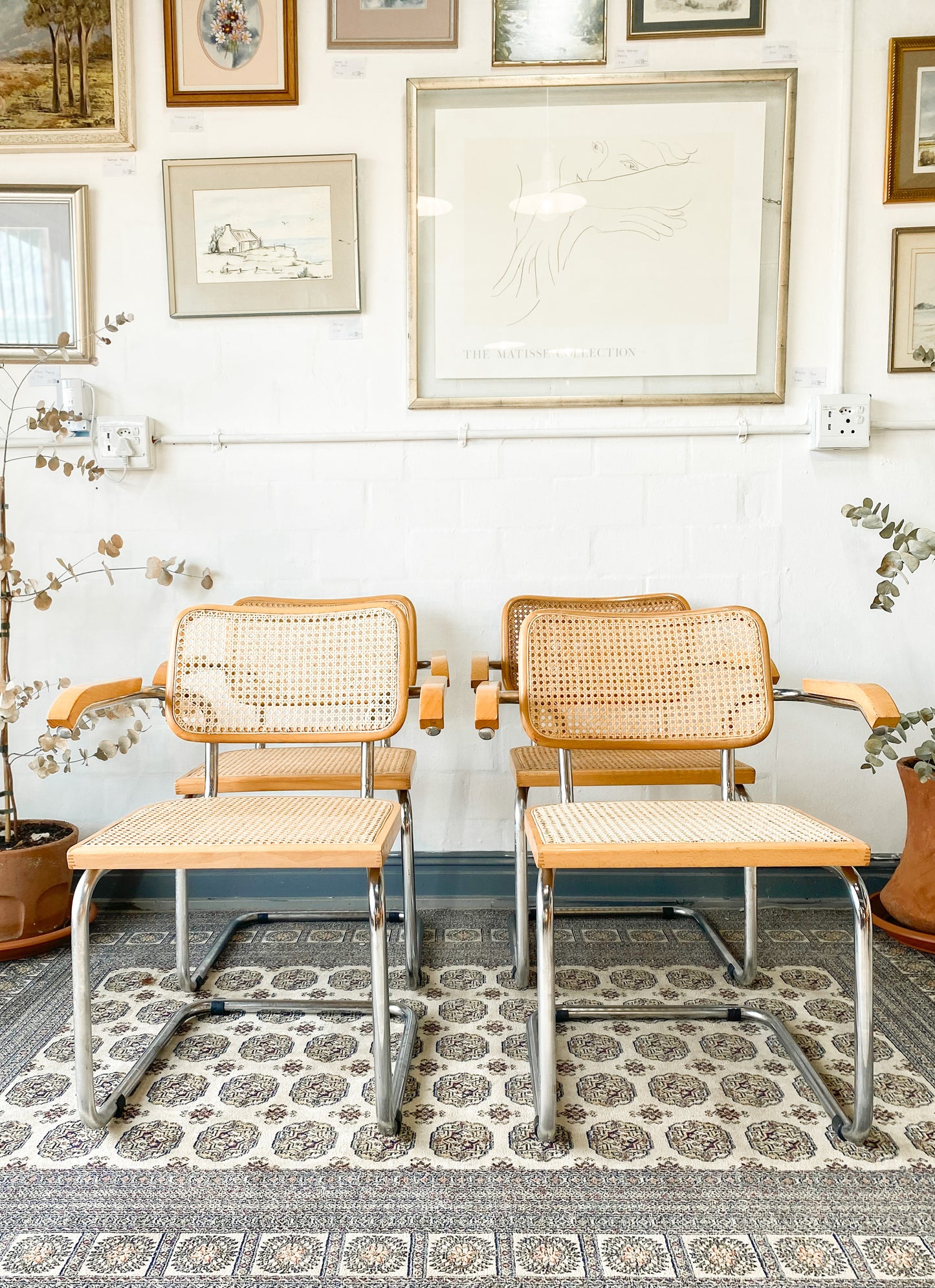 Cesca Dining Chairs