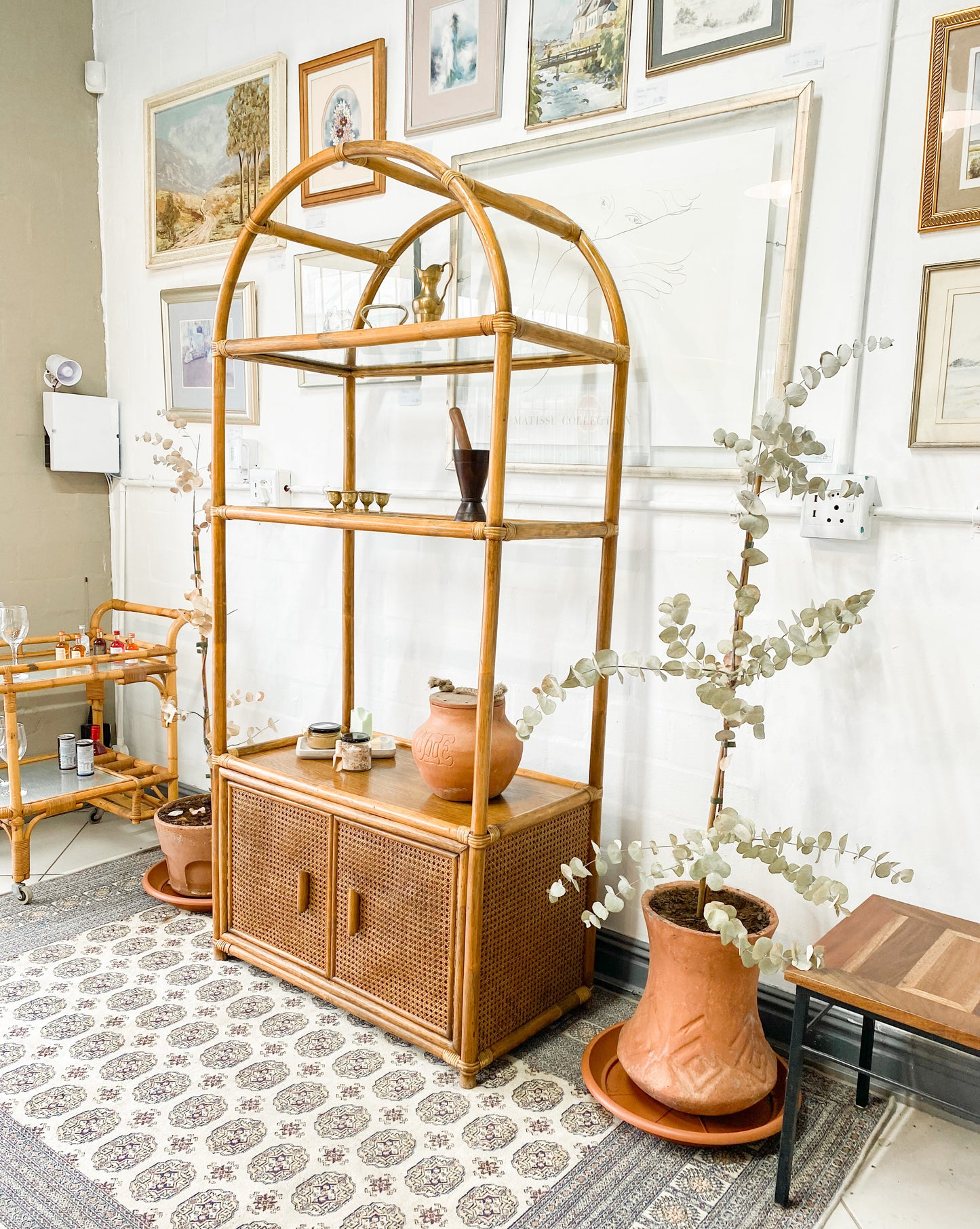 Cane Display Unit