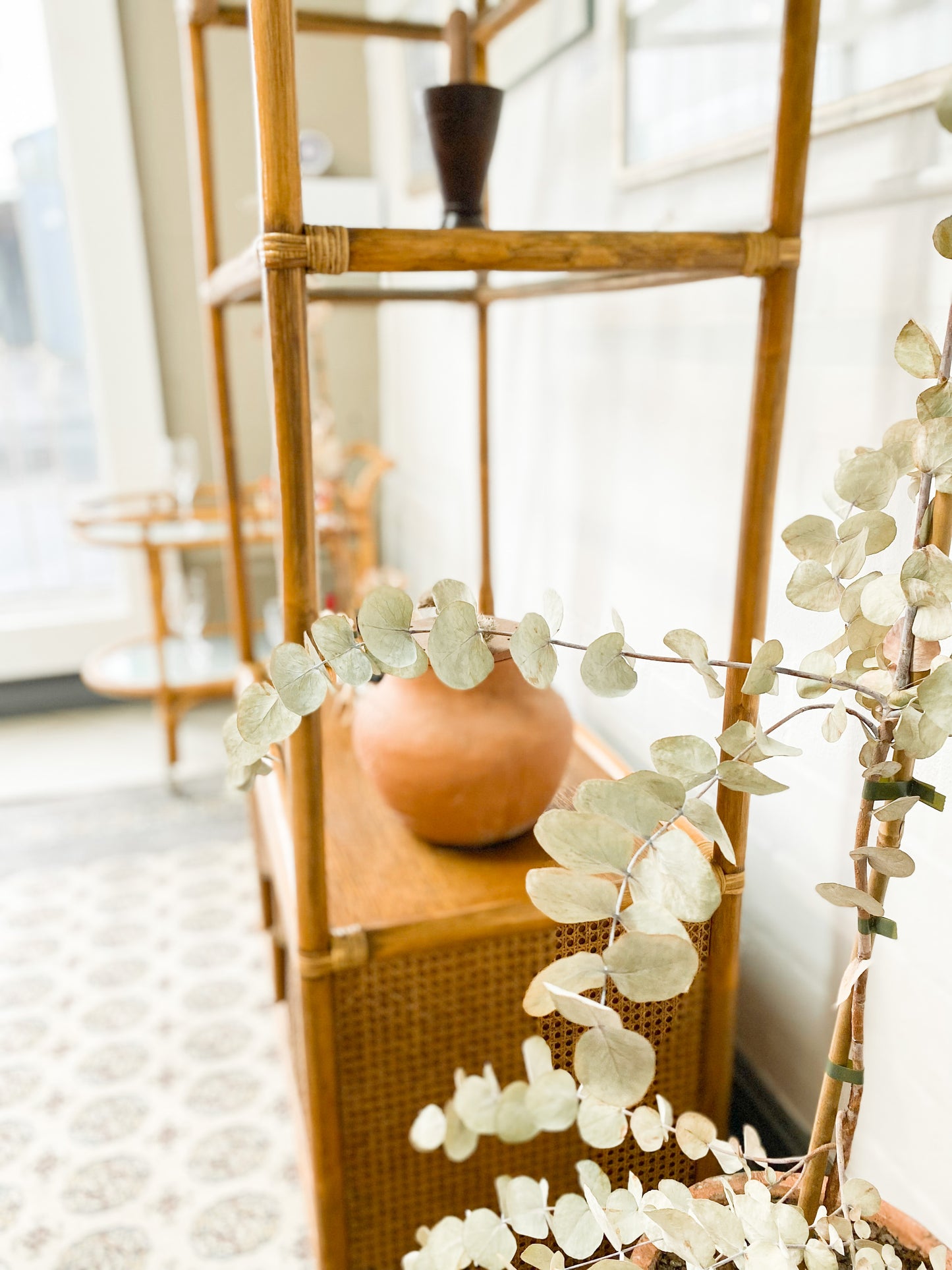 Cane Display Unit