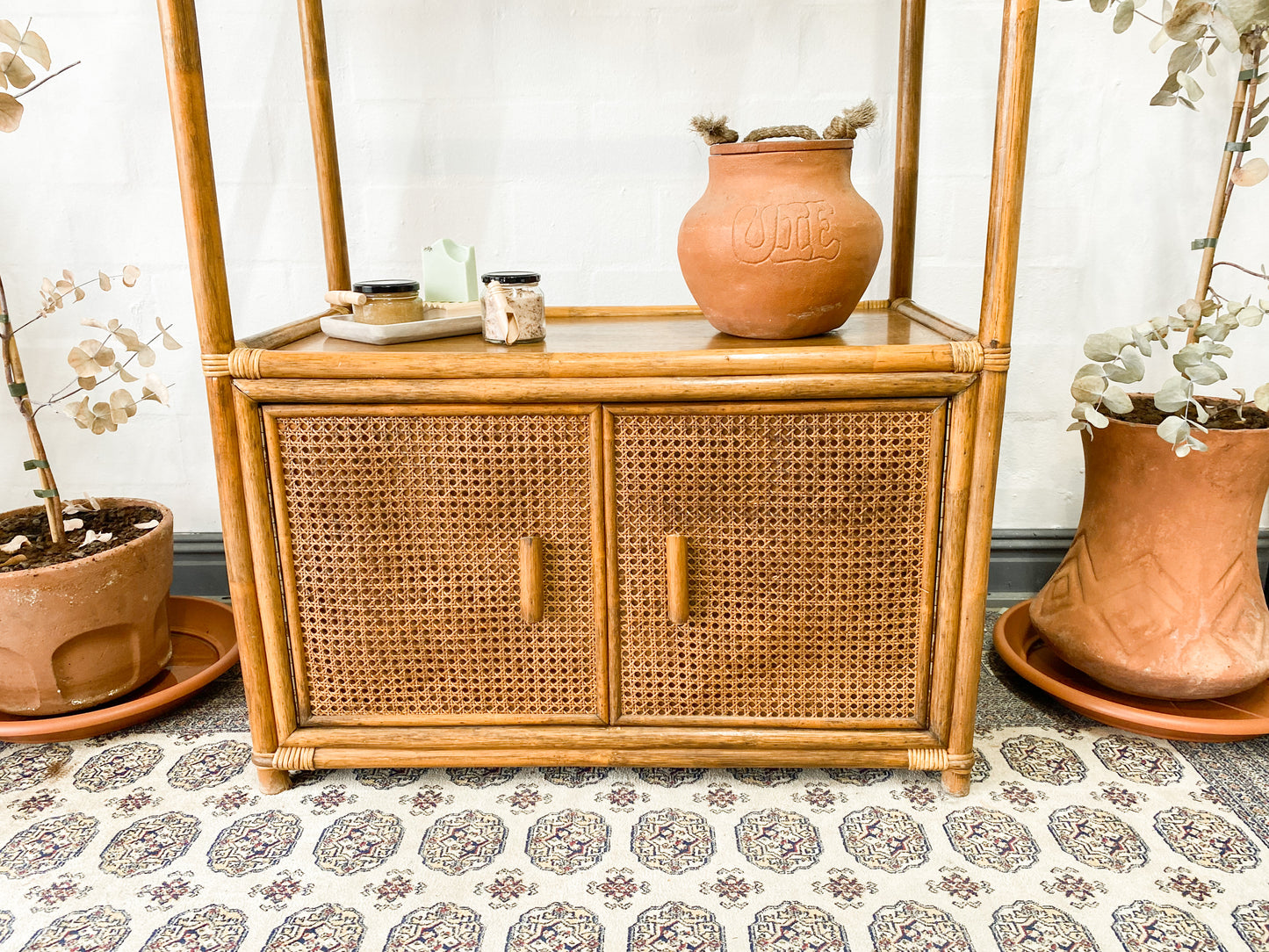 Cane Display Unit
