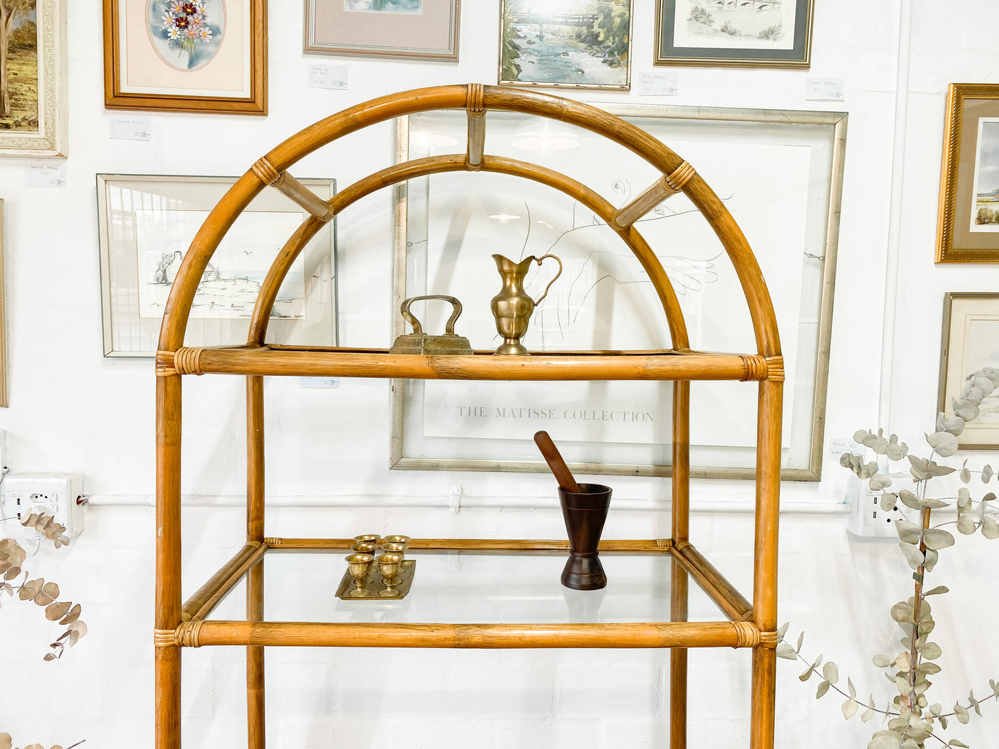 Cane Display Unit