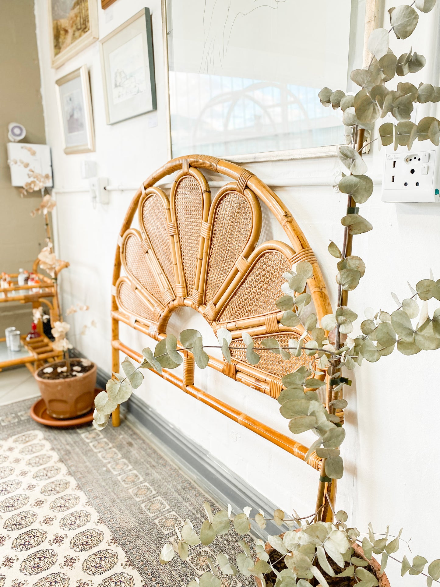 Cane Petal Headboard