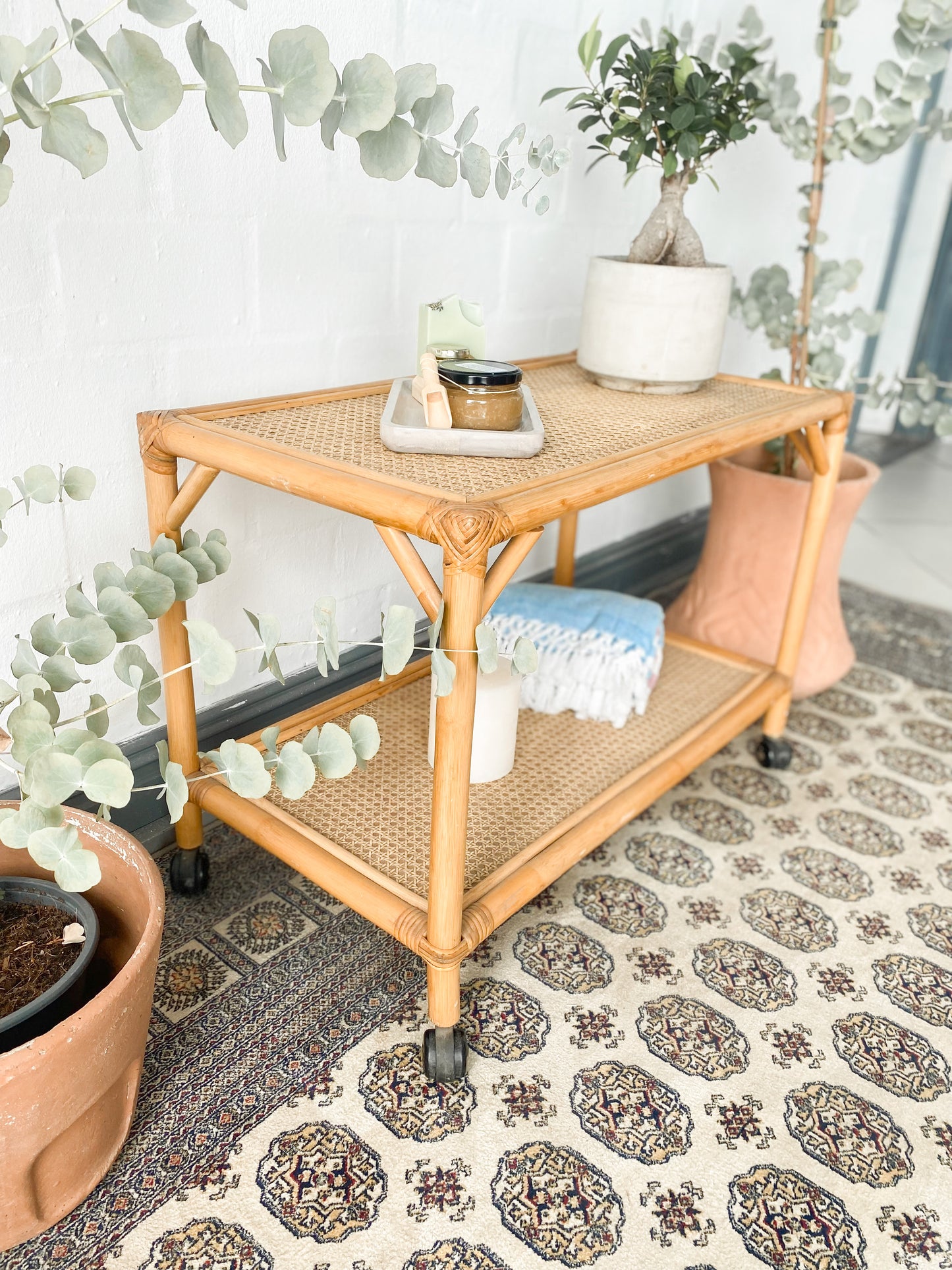 Cane Drinks Trolley