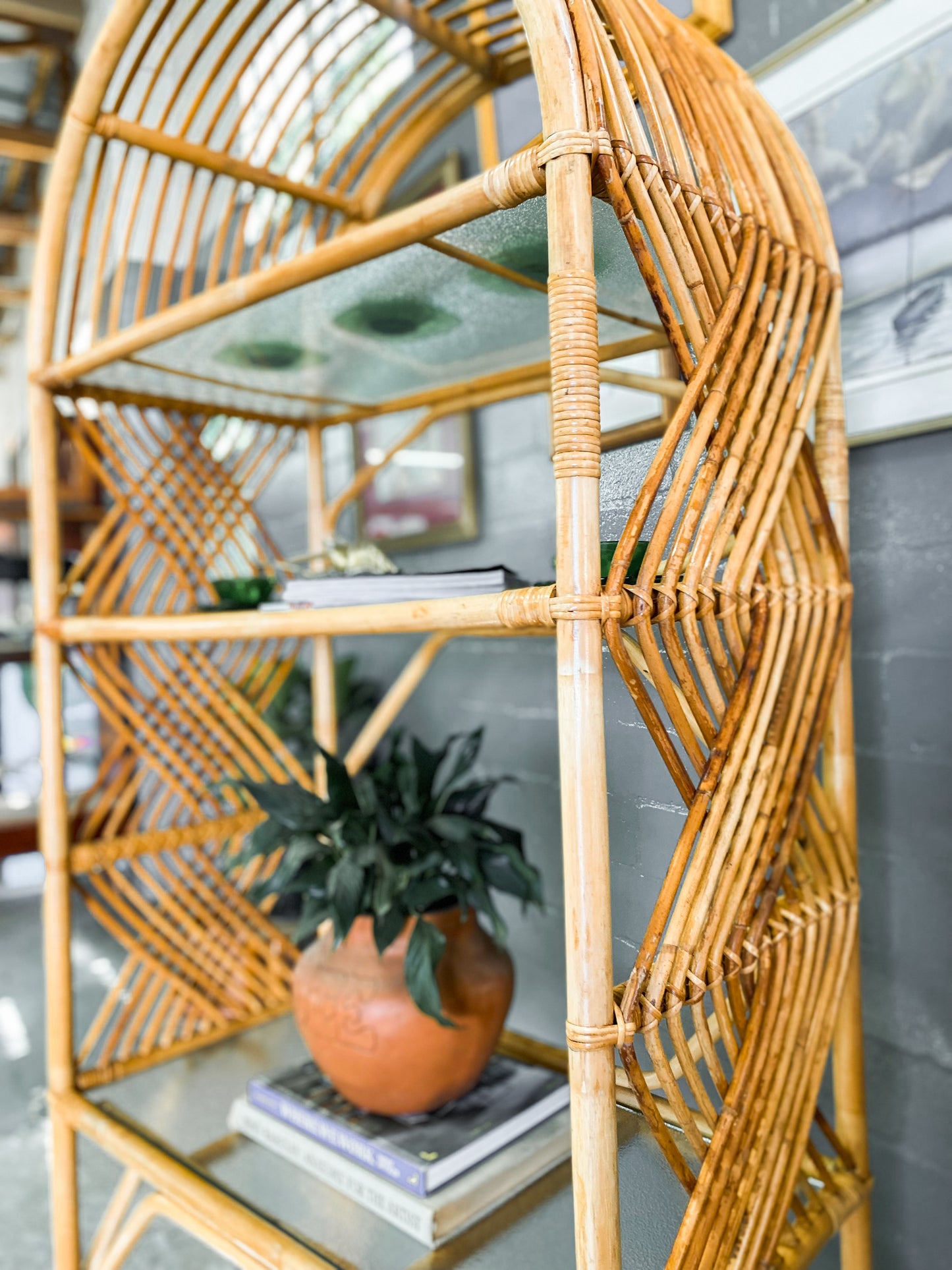 Cane Display Unit