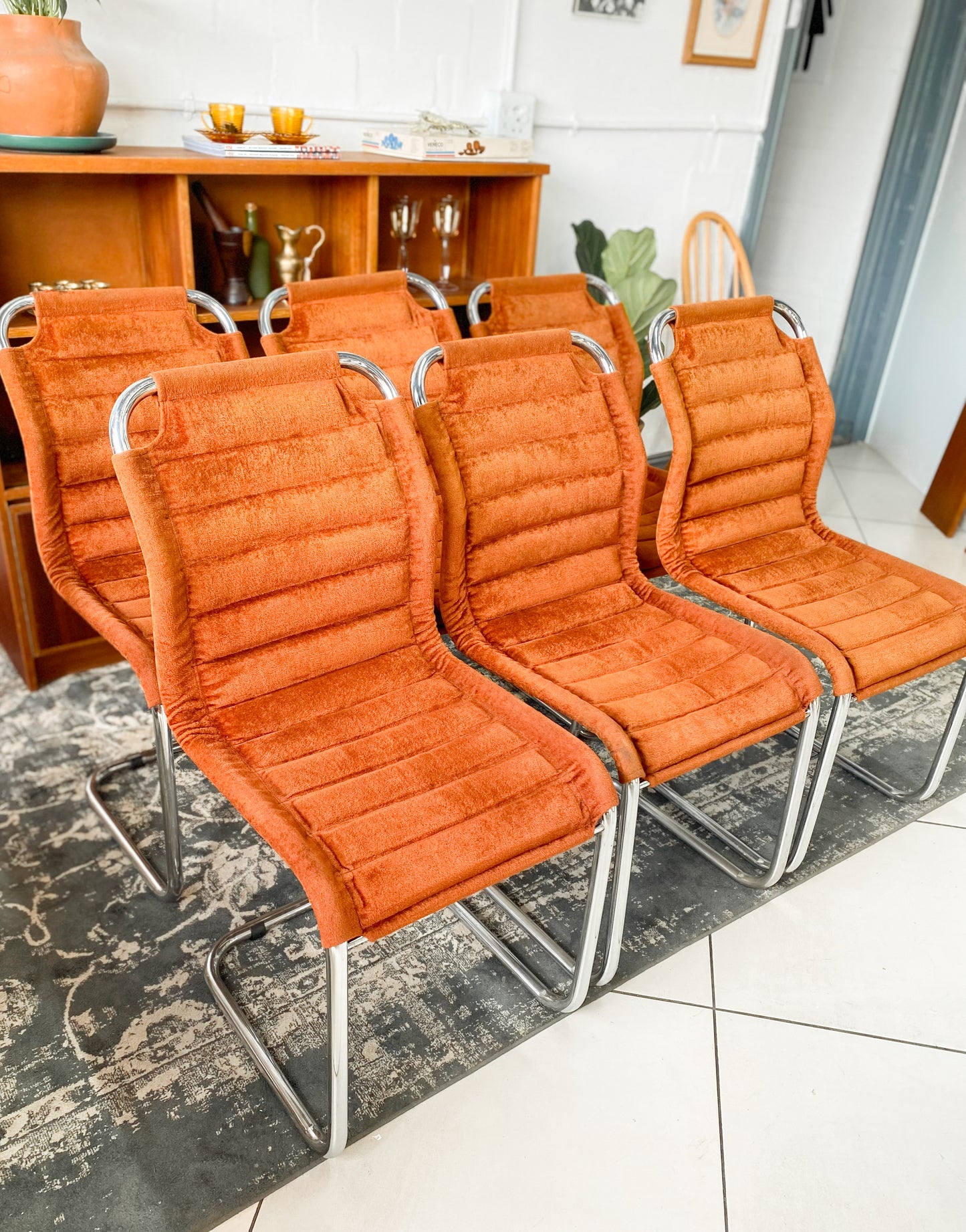 Six Bauhaus Tubular Dining Chairs in Burnt Umber Upholstery
