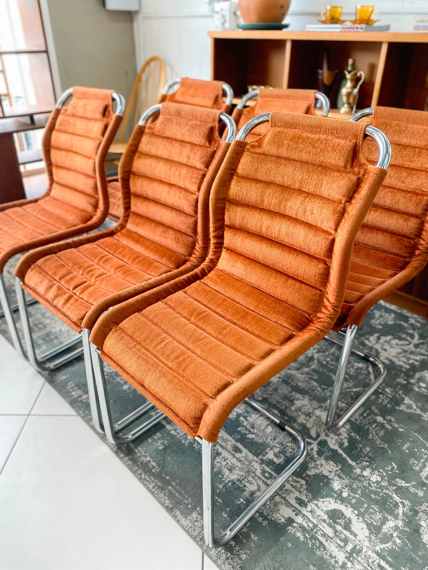 Six Bauhaus Tubular Dining Chairs in Burnt Umber Upholstery