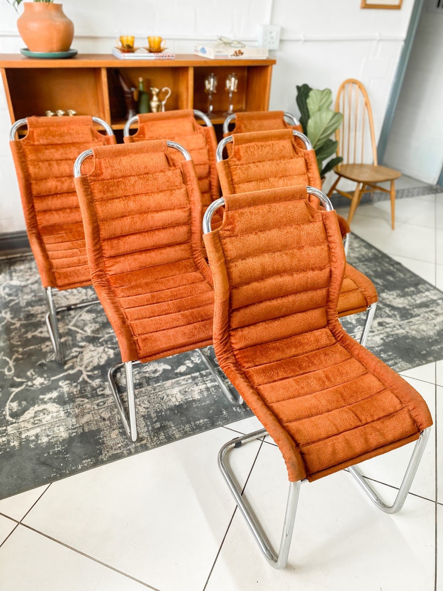 Six Bauhaus Tubular Dining Chairs in Burnt Umber Upholstery