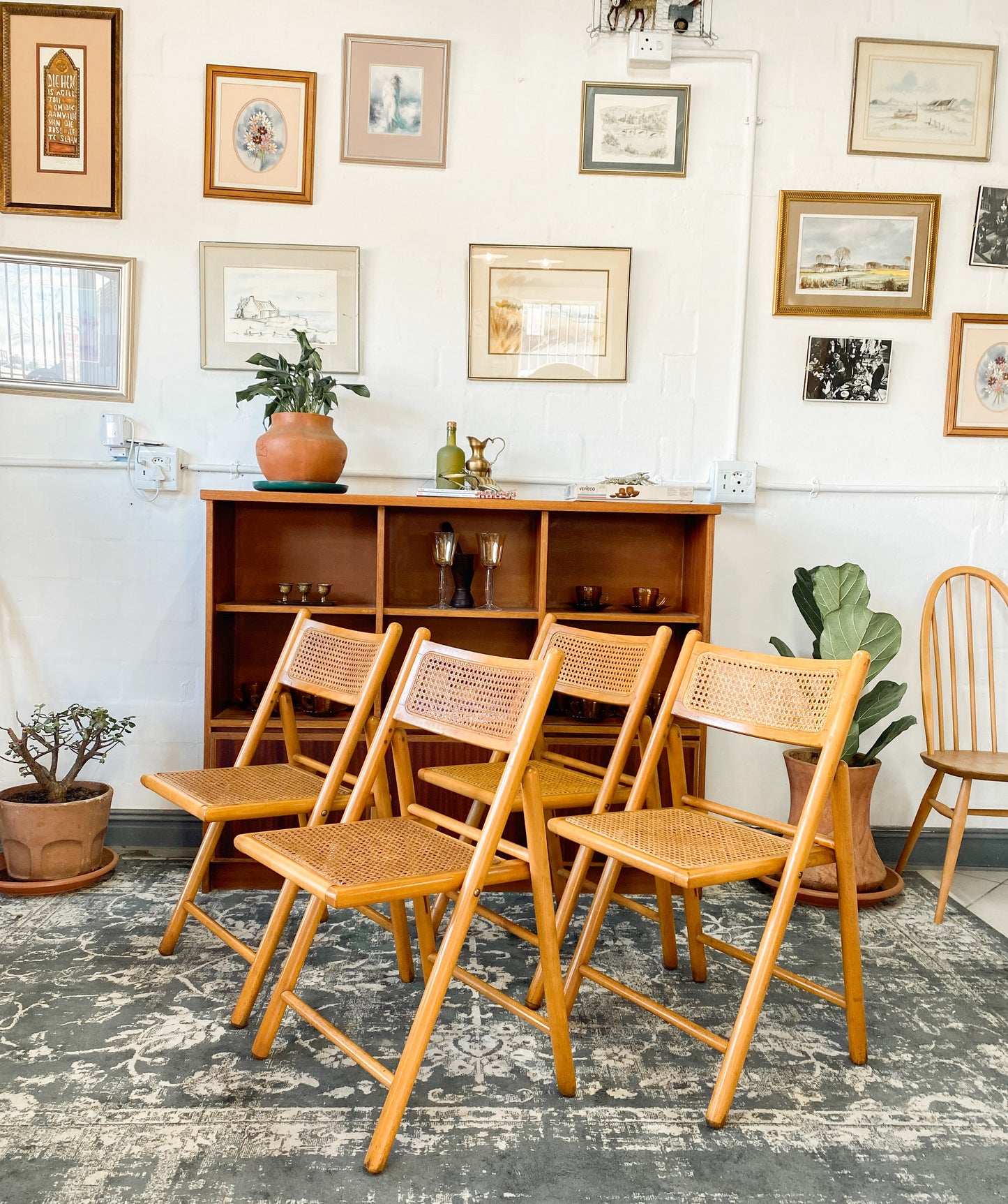 Set of 4 Retro Cane and Beechwood Folding Chairs